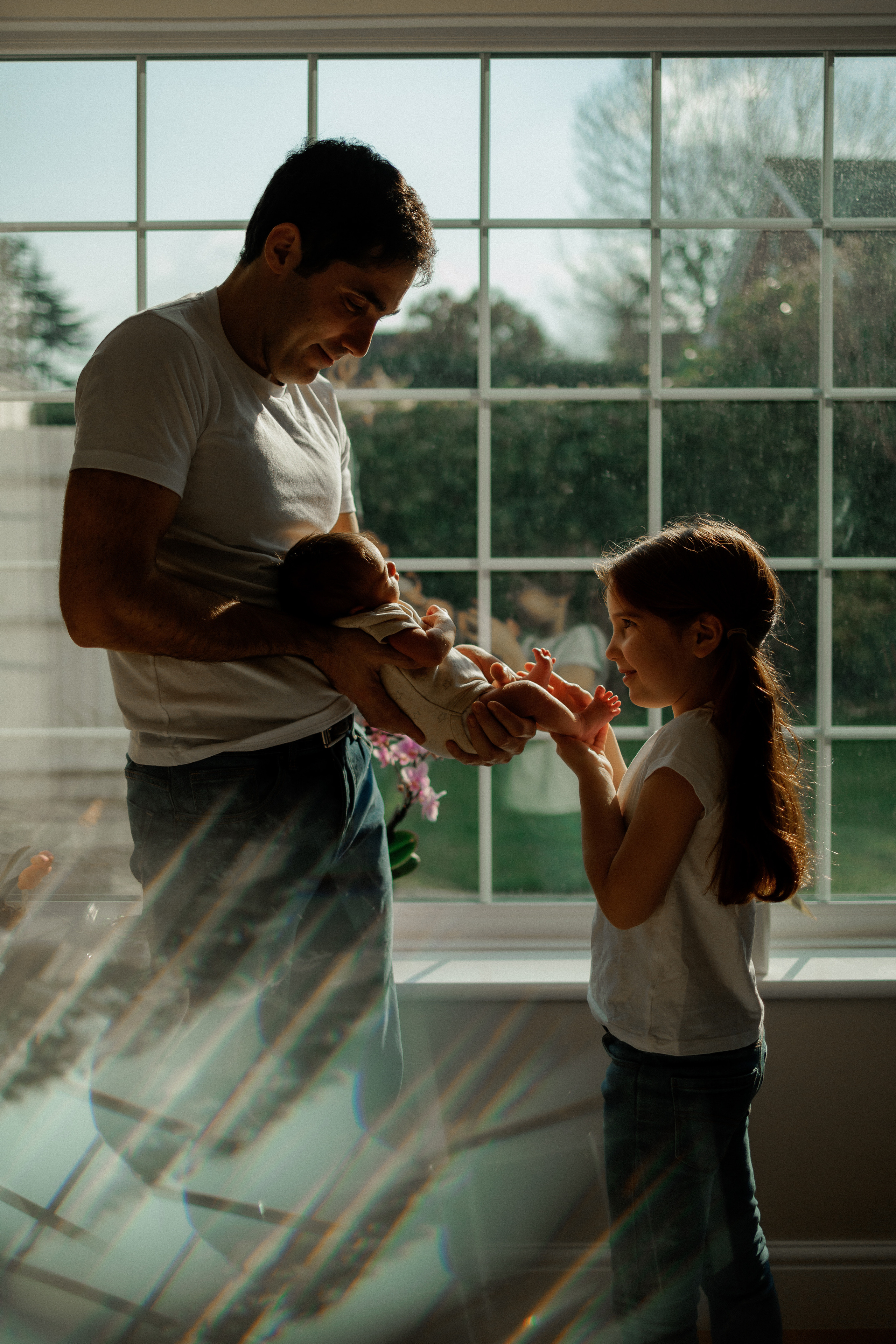 NEWBORN LIFESTILE. Professional garden design and photography services in London