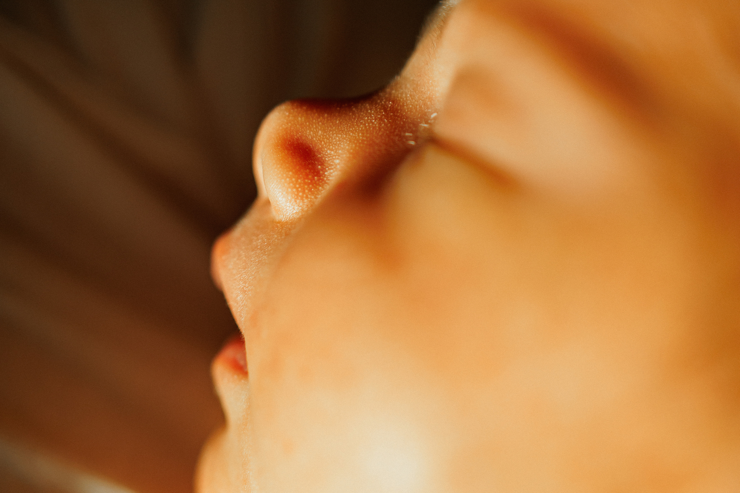 NEWBORN LIFESTILE. Professional garden design and photography services in London