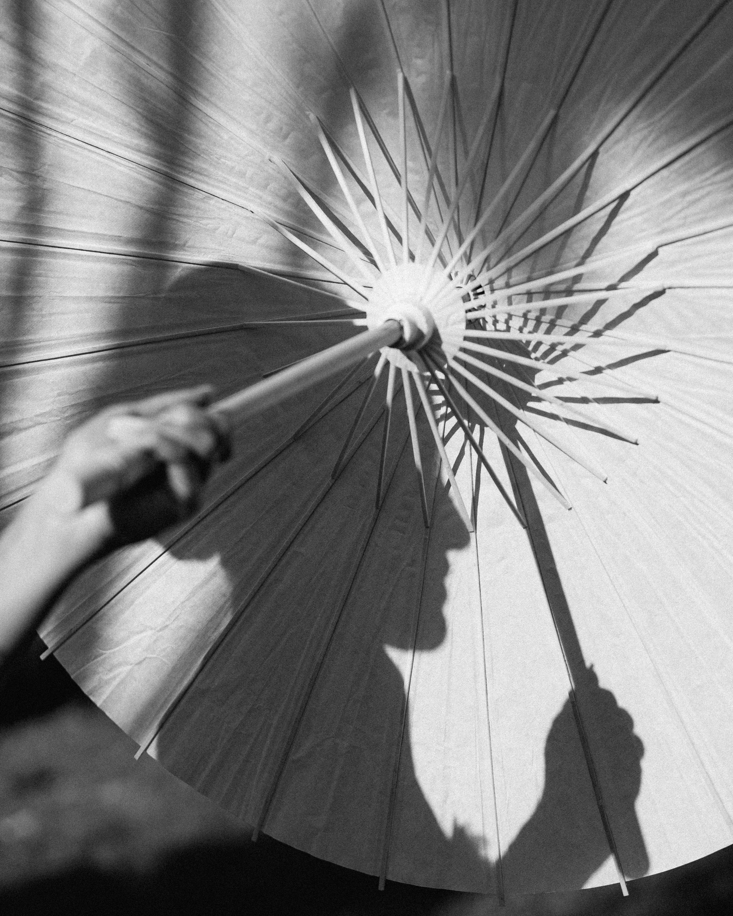 Eden & Nicolas, Villa Rizzardi, Verona. Фотограф в Милане Анна Линник