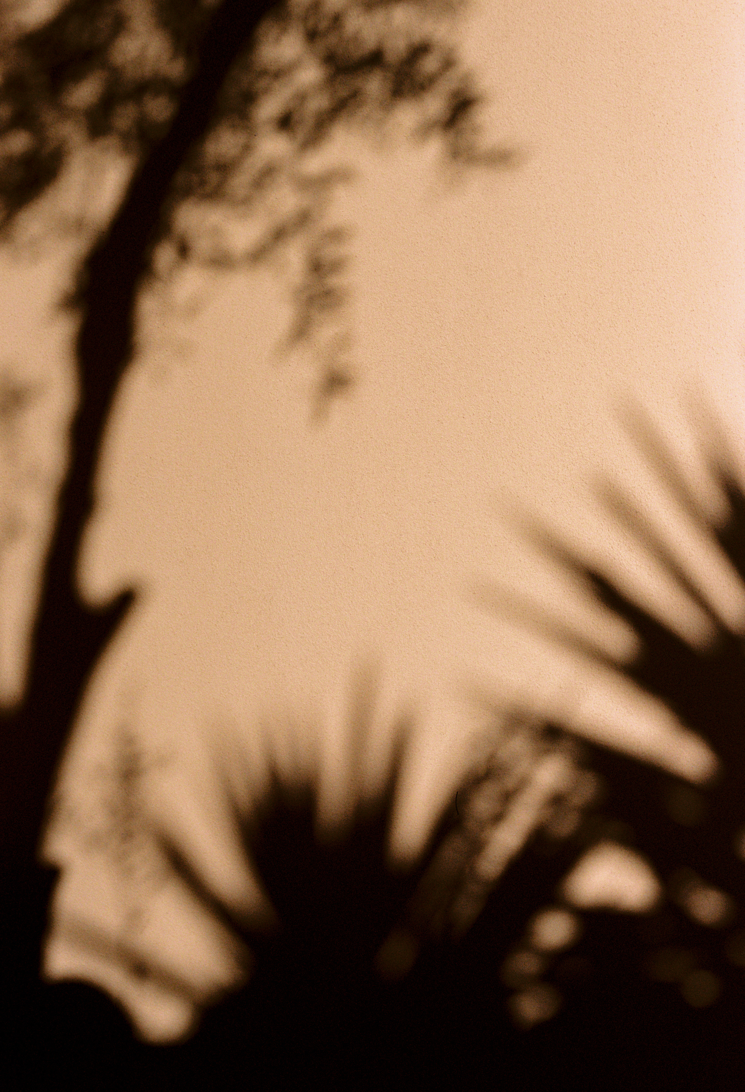 Welcome beyond. Ksenia Marchand/ Lifestyle photographer in Paris