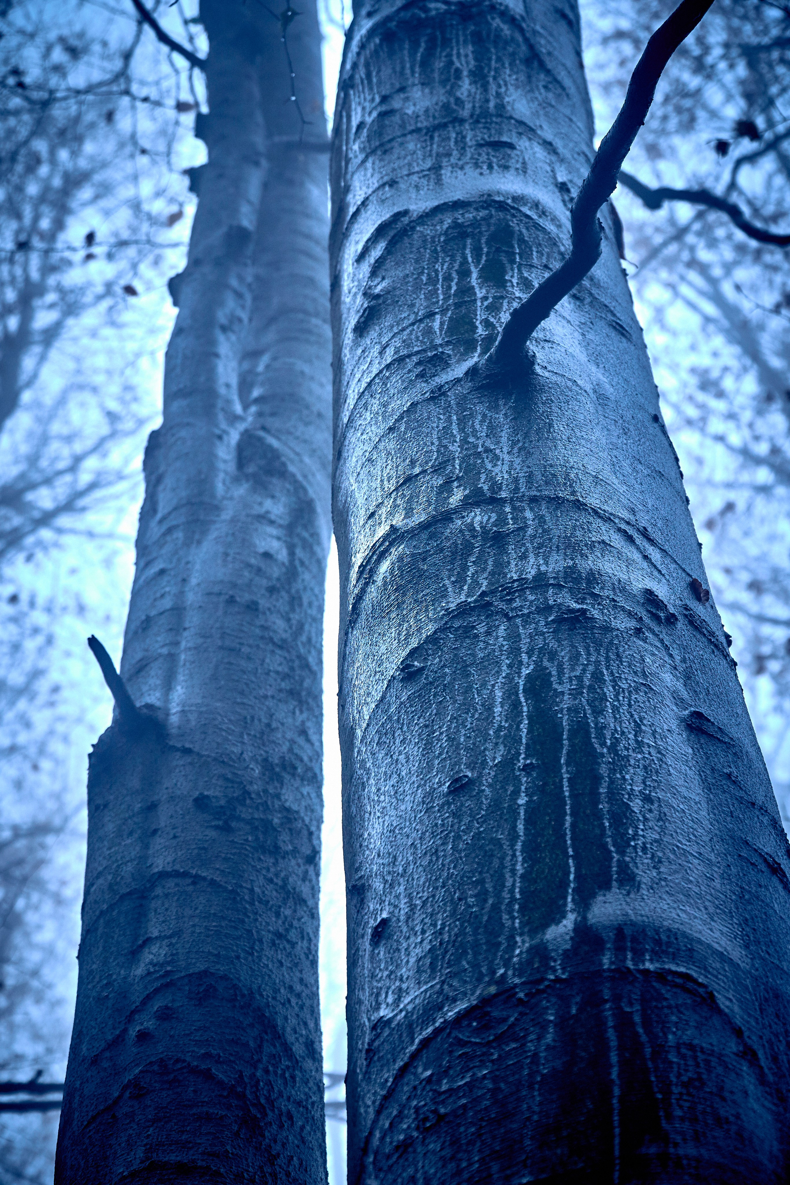 Bieszczady - tu zatrzymuje się czas. Andriej Szypilow - Fotografia & Wideografia