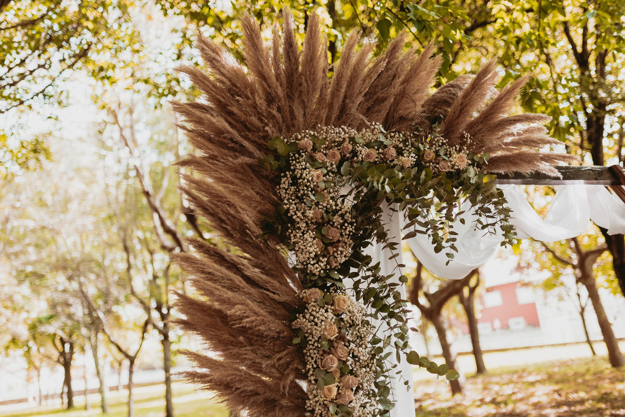 São & Luís. Photographe de mariage et de famille à Braga — Alexandra Mieres Photography