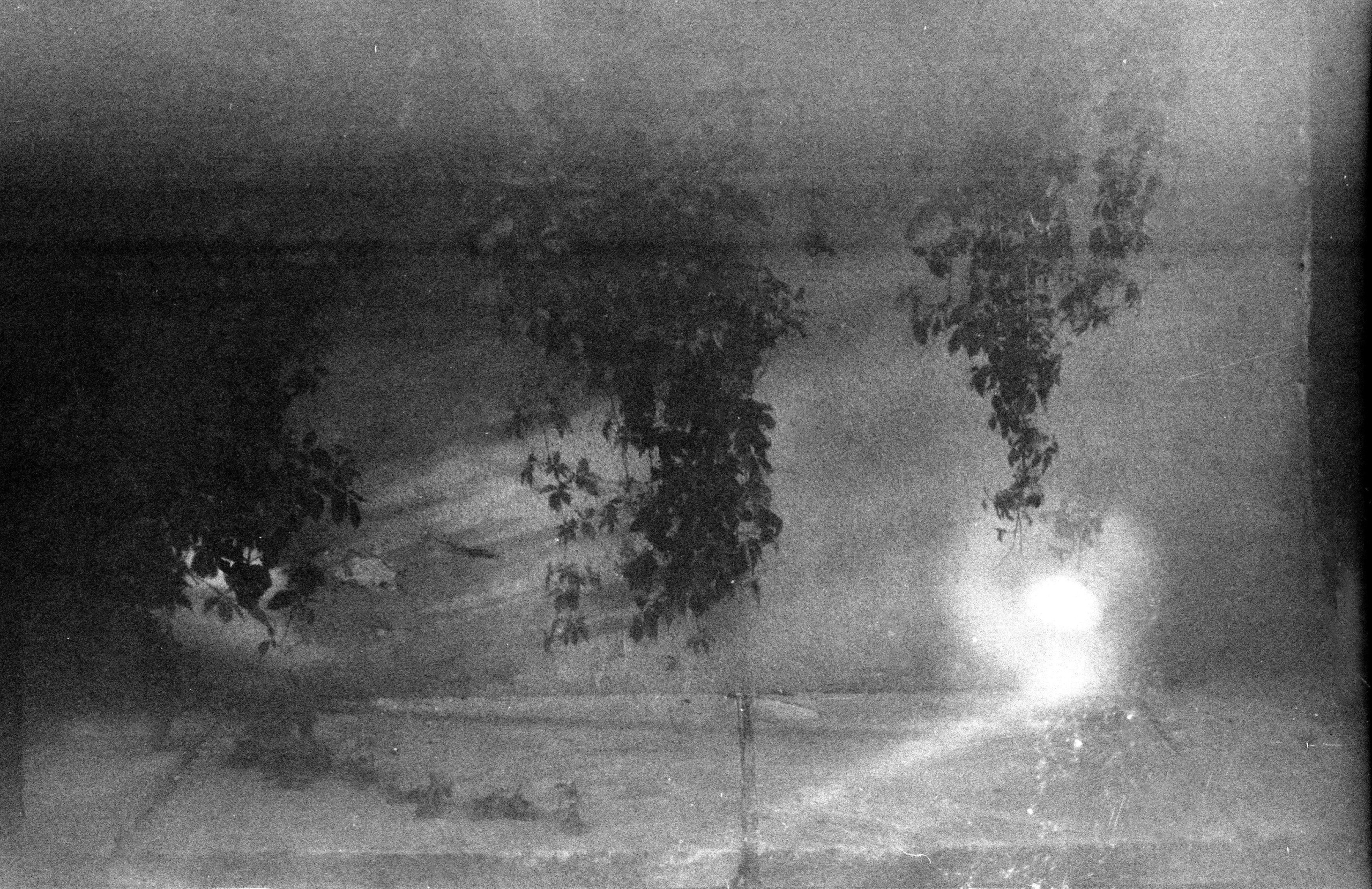 Silent light. Natalia Parfenova visual artist film photographer