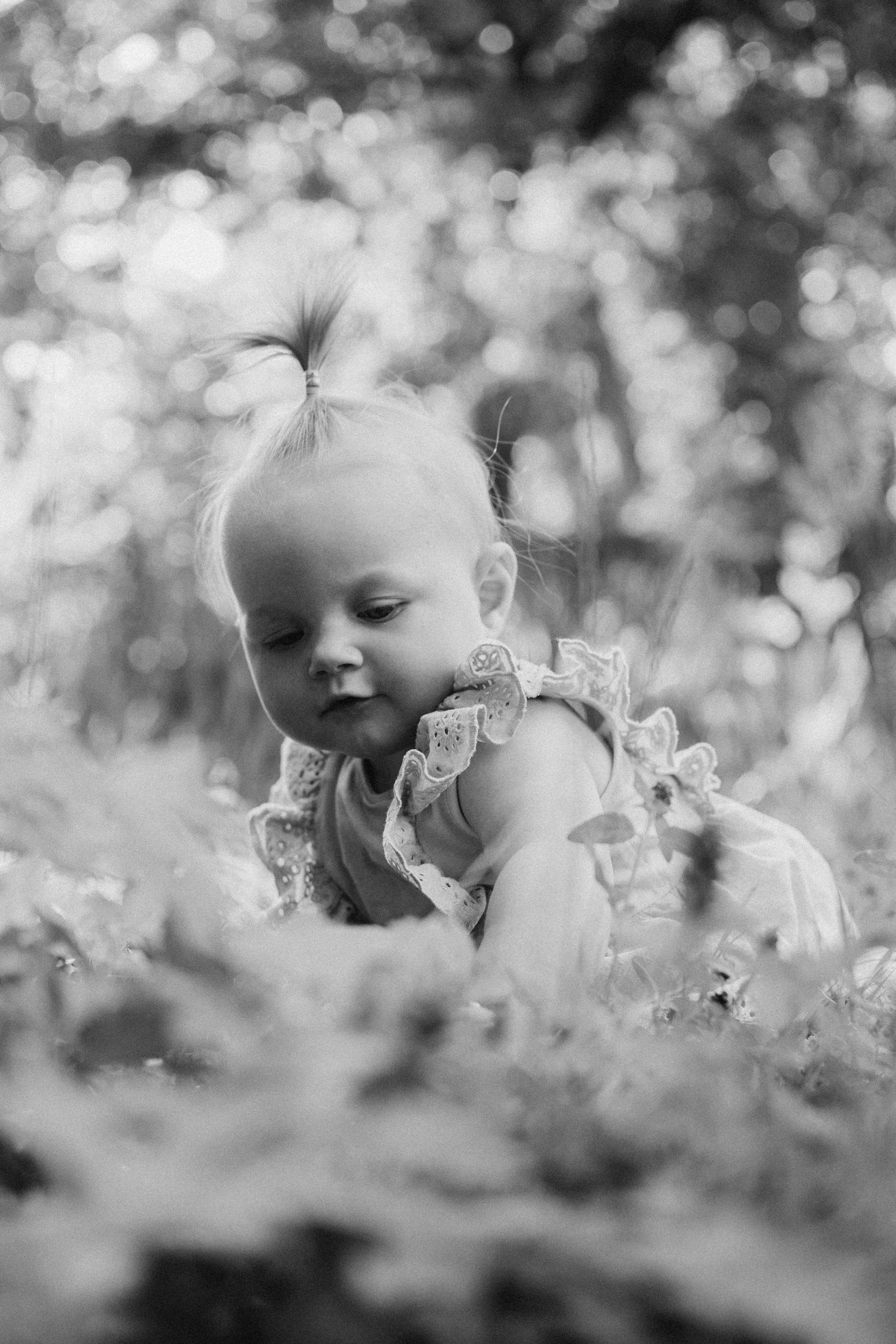 Family Husty. Photographer and videographer in Norway and Slovakia Andrea Zemko