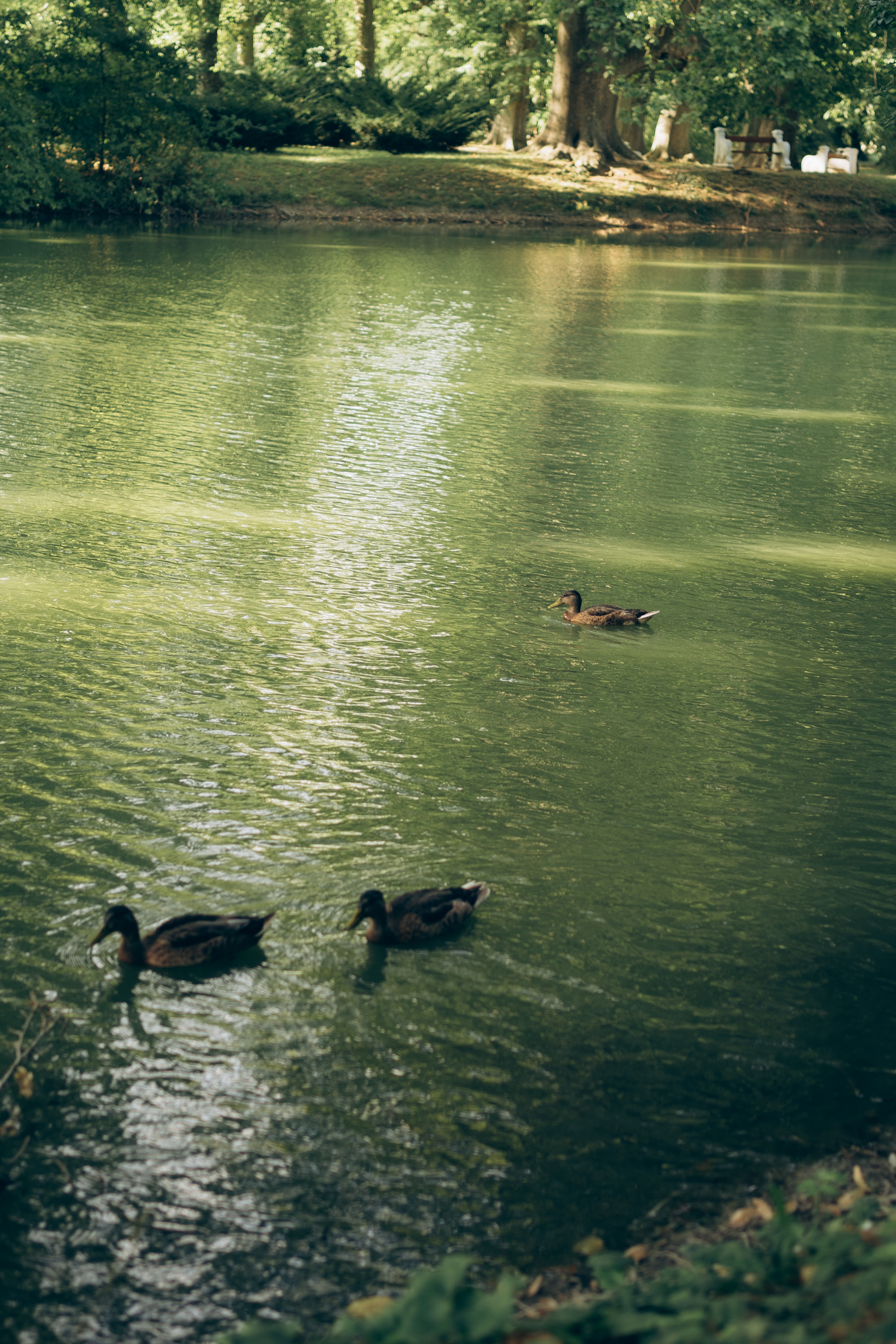 Family Husty. Photographer and videographer in Norway and Slovakia Andrea Zemko