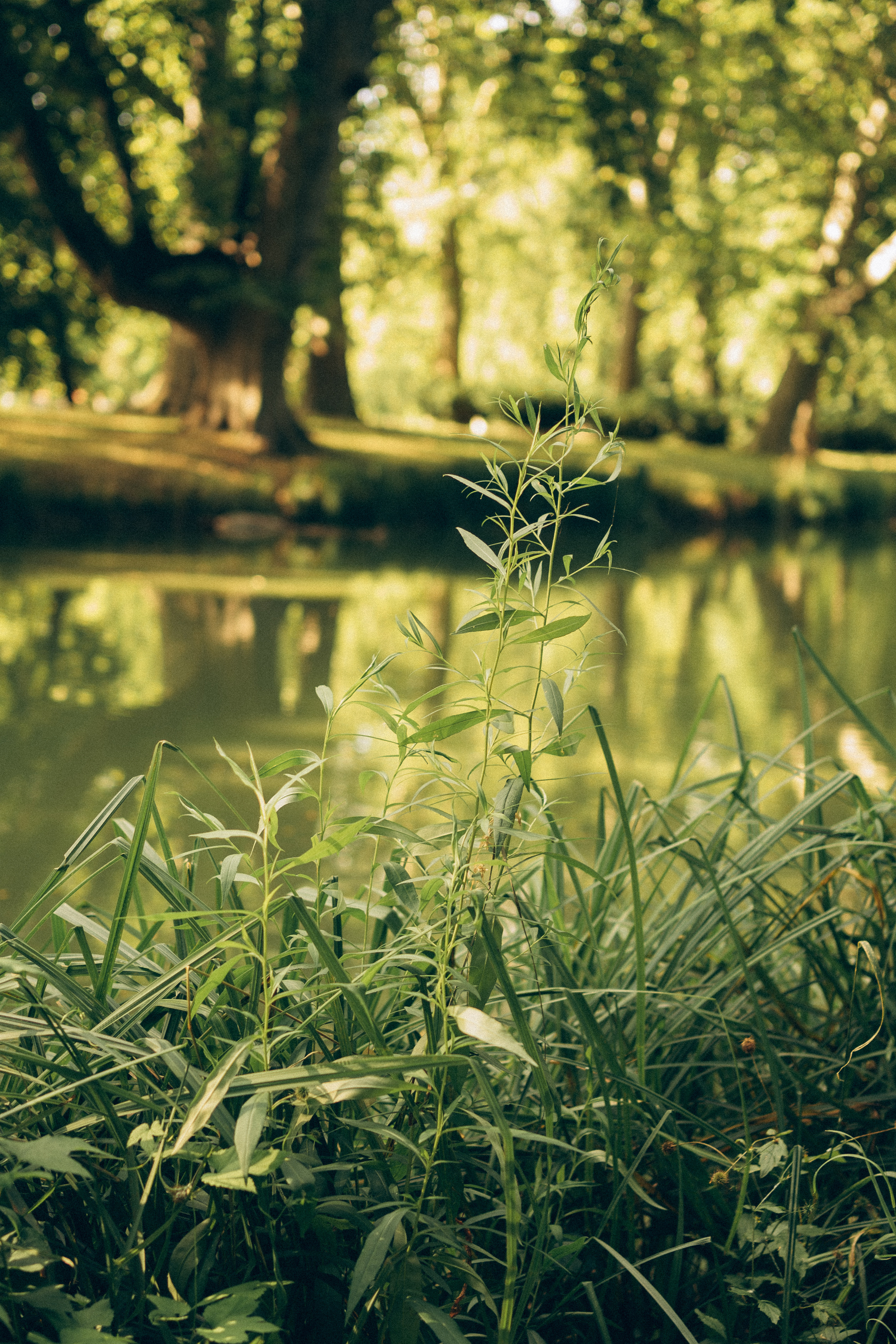Family Husty. Photographer and videographer in Norway and Slovakia Andrea Zemko