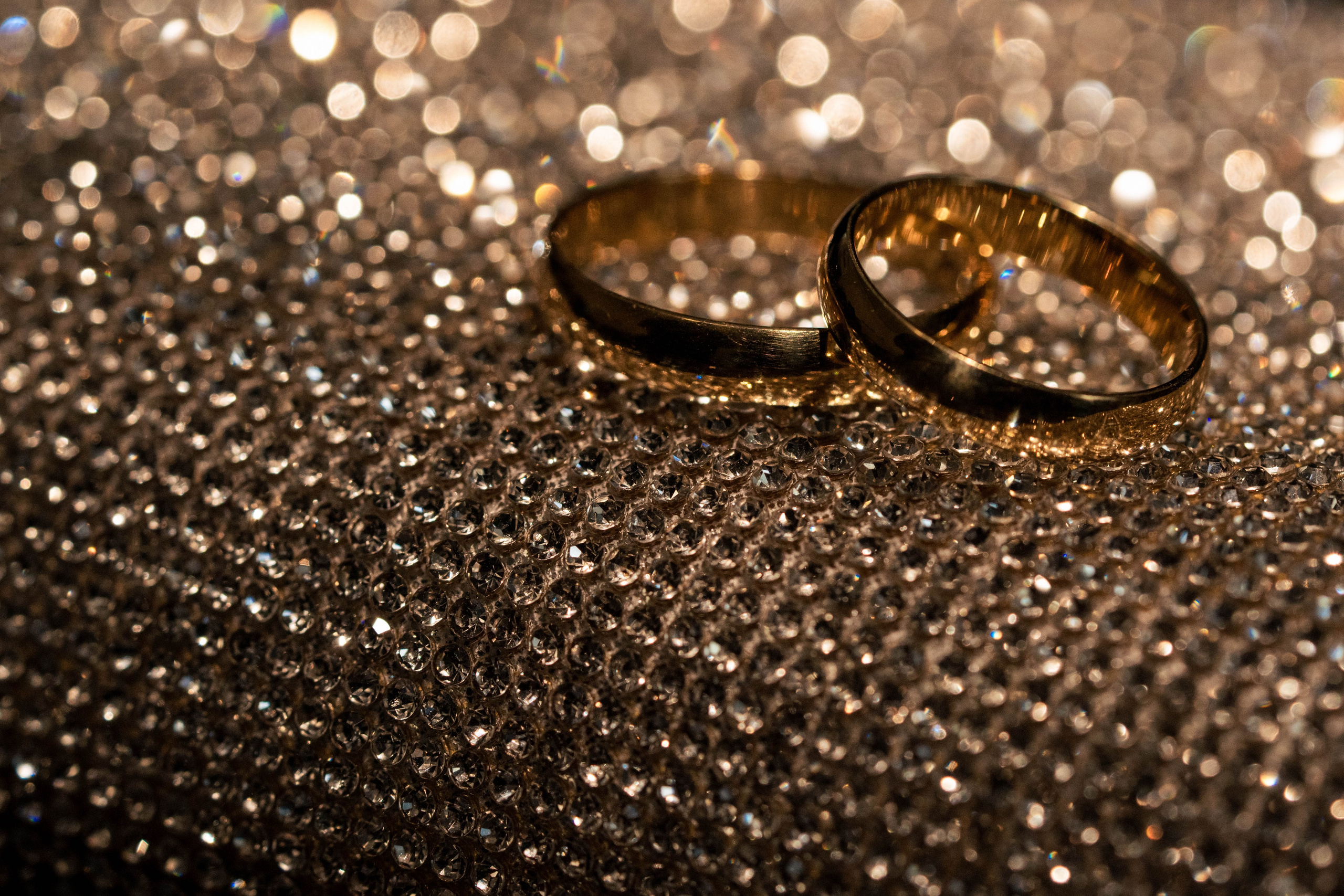 Andreea, Damian si Aris. Acasă