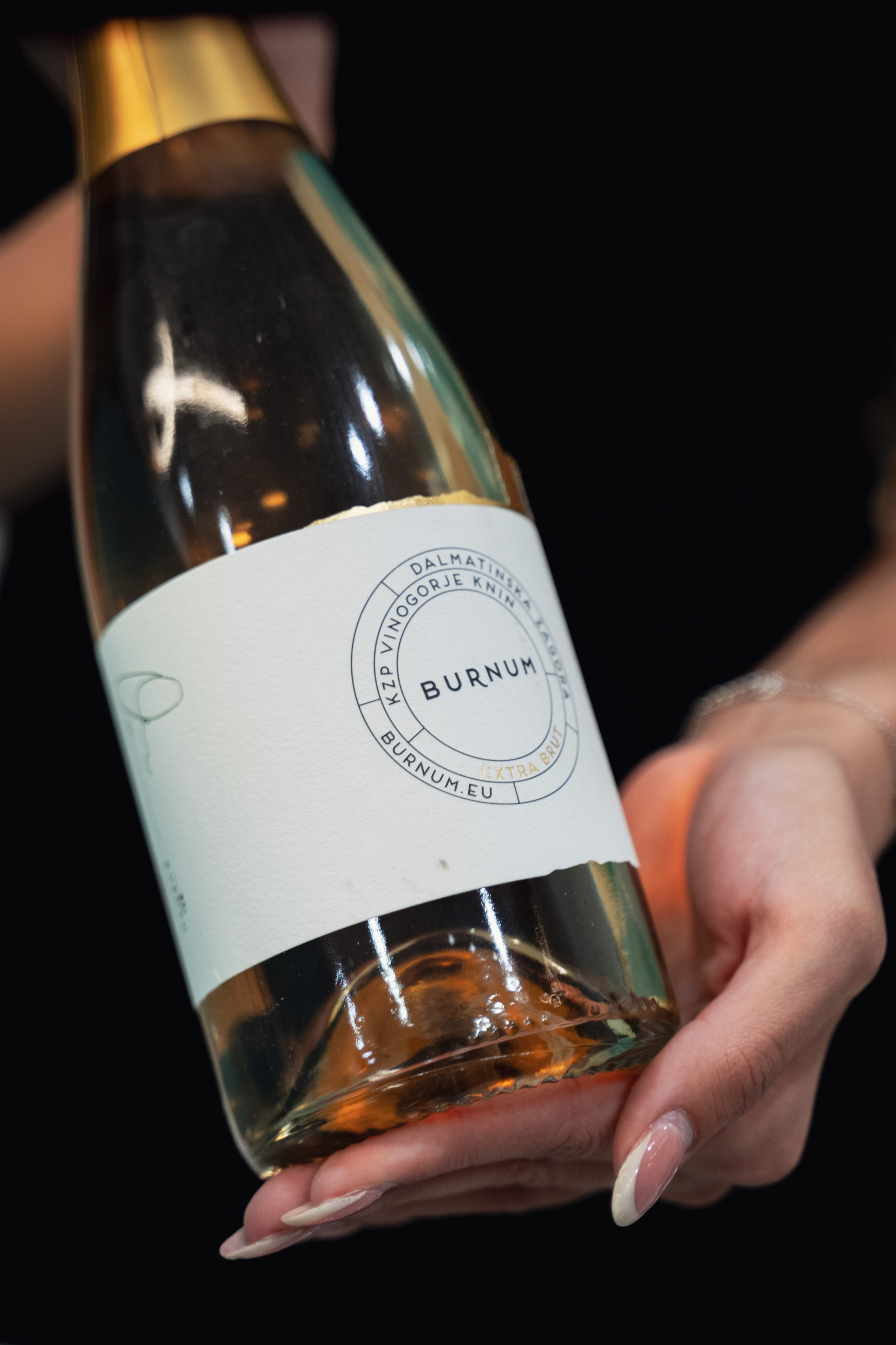 Regena. Жуков Студио