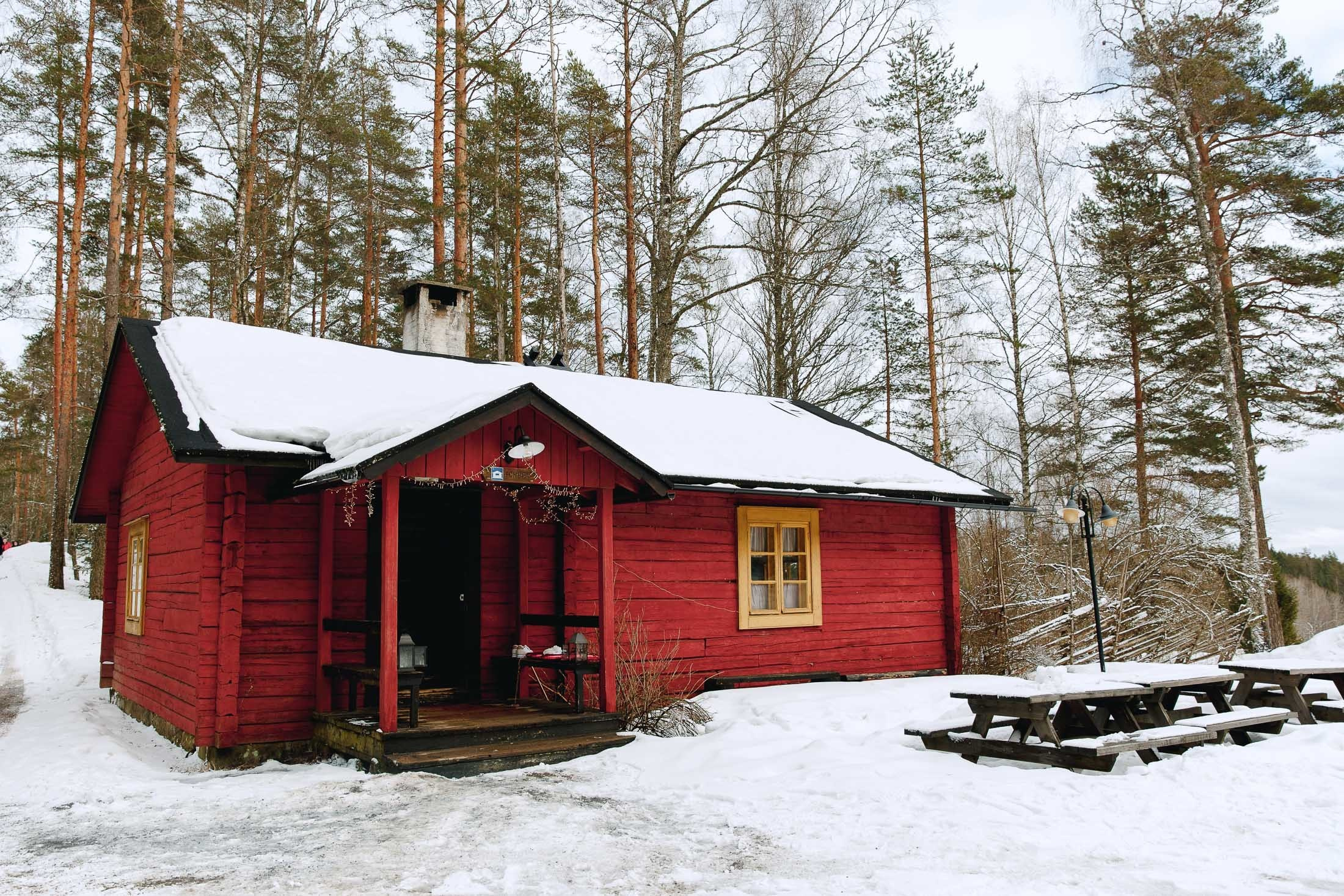 Sandra&Juhani, hääkuvaaja Nuuksio, Green window