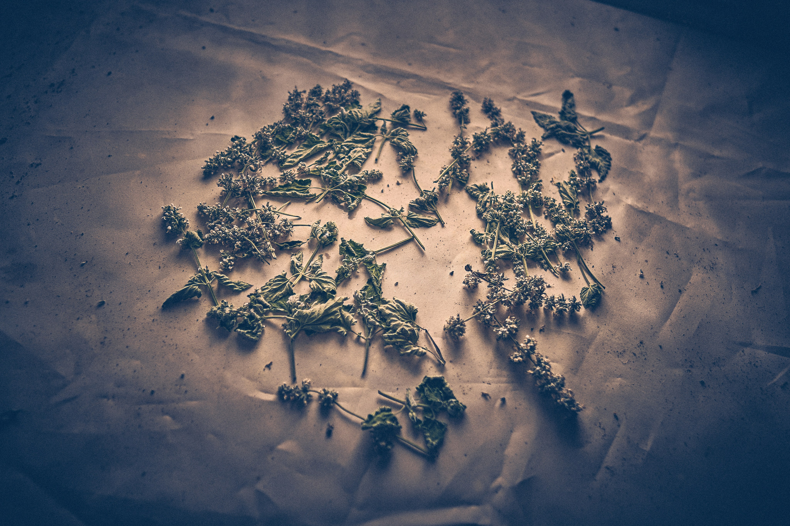 Andriej Szypiłow - Fotograf i Wideograf - Reportaż artystyczny - wizyta rodzinna in the middle of nowhere. Zabita dechami wieś na granicy Białorusi i Polski.