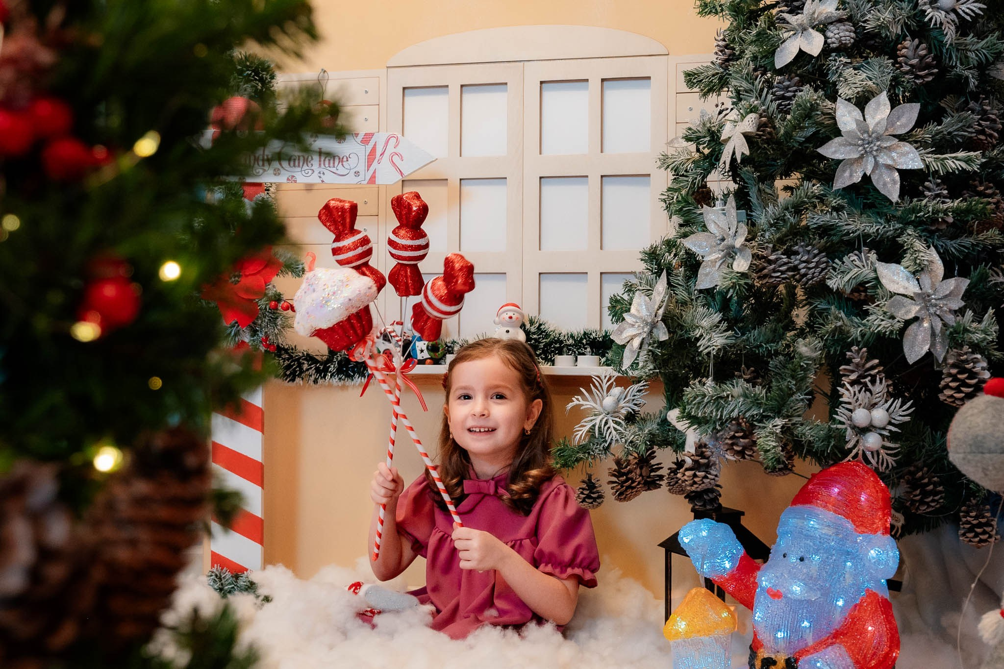 Sedinta Craciun Nicoleta