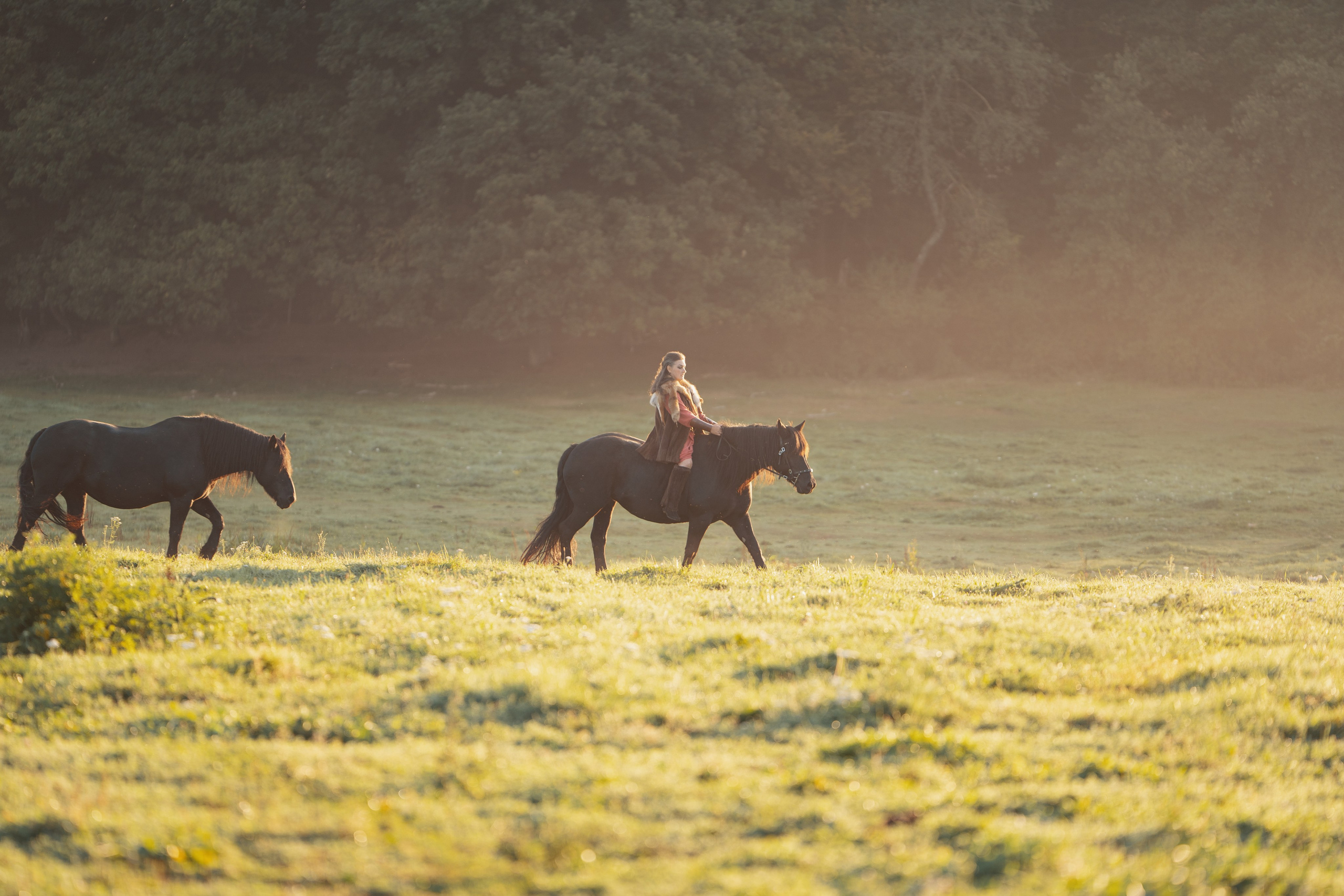 Geschichten mit dem Pferden. Kinder und Familienfotografie Wittlich und Trier Umgebung