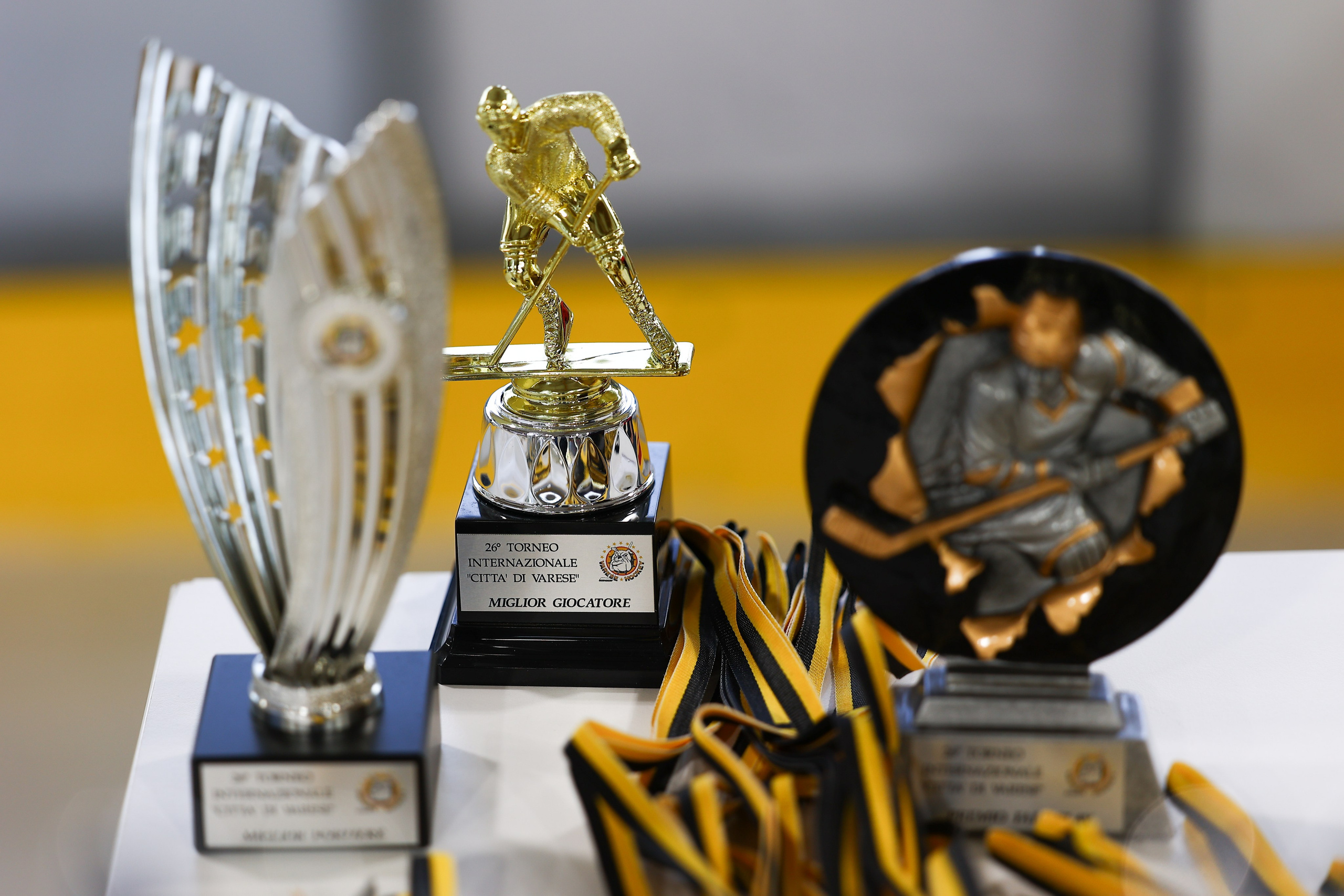 Elena Radchenko Portfoglio Sport Events. Fotografo Videomaker Drone Padova Venice Italy Elena Radchenko