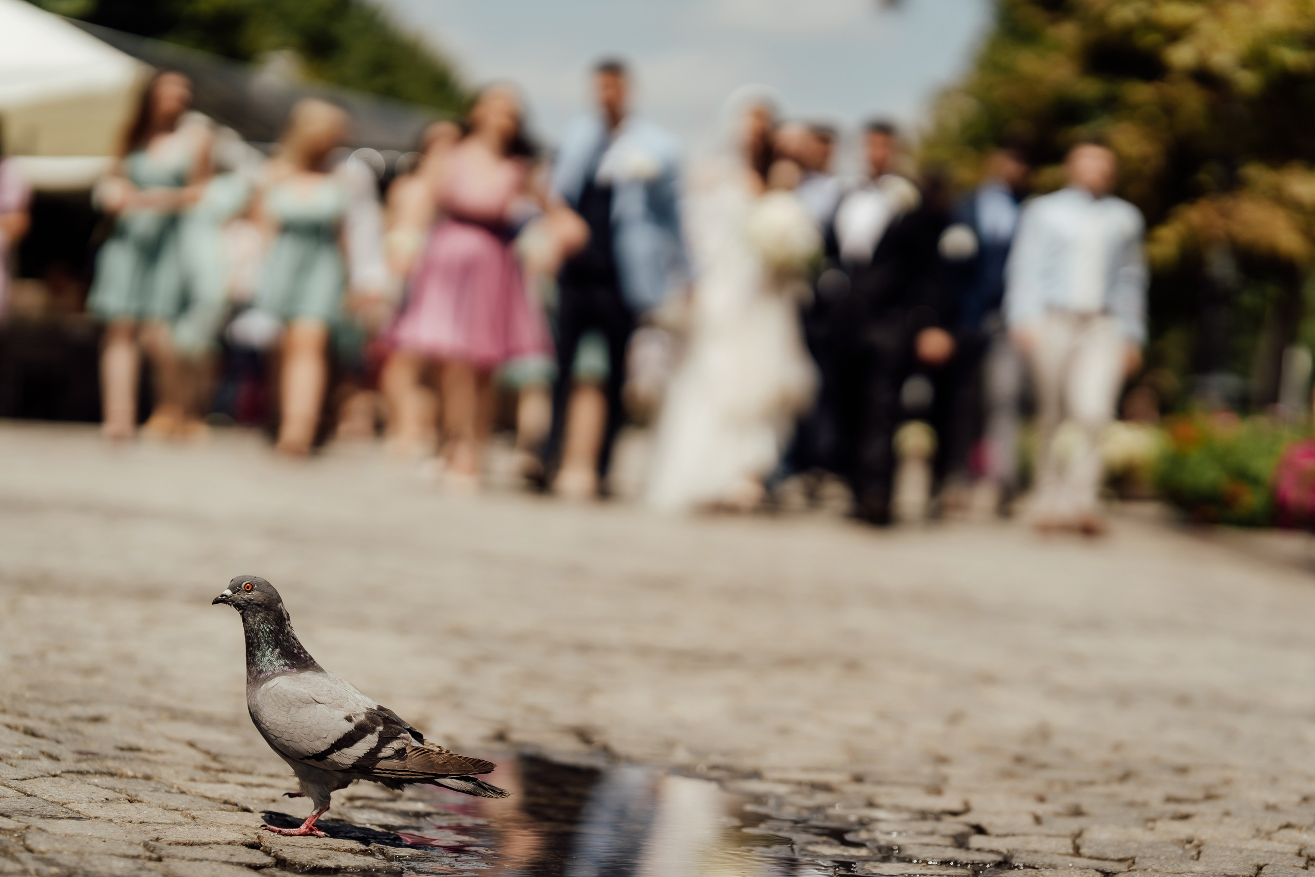 Nunta Antonela & Teodor