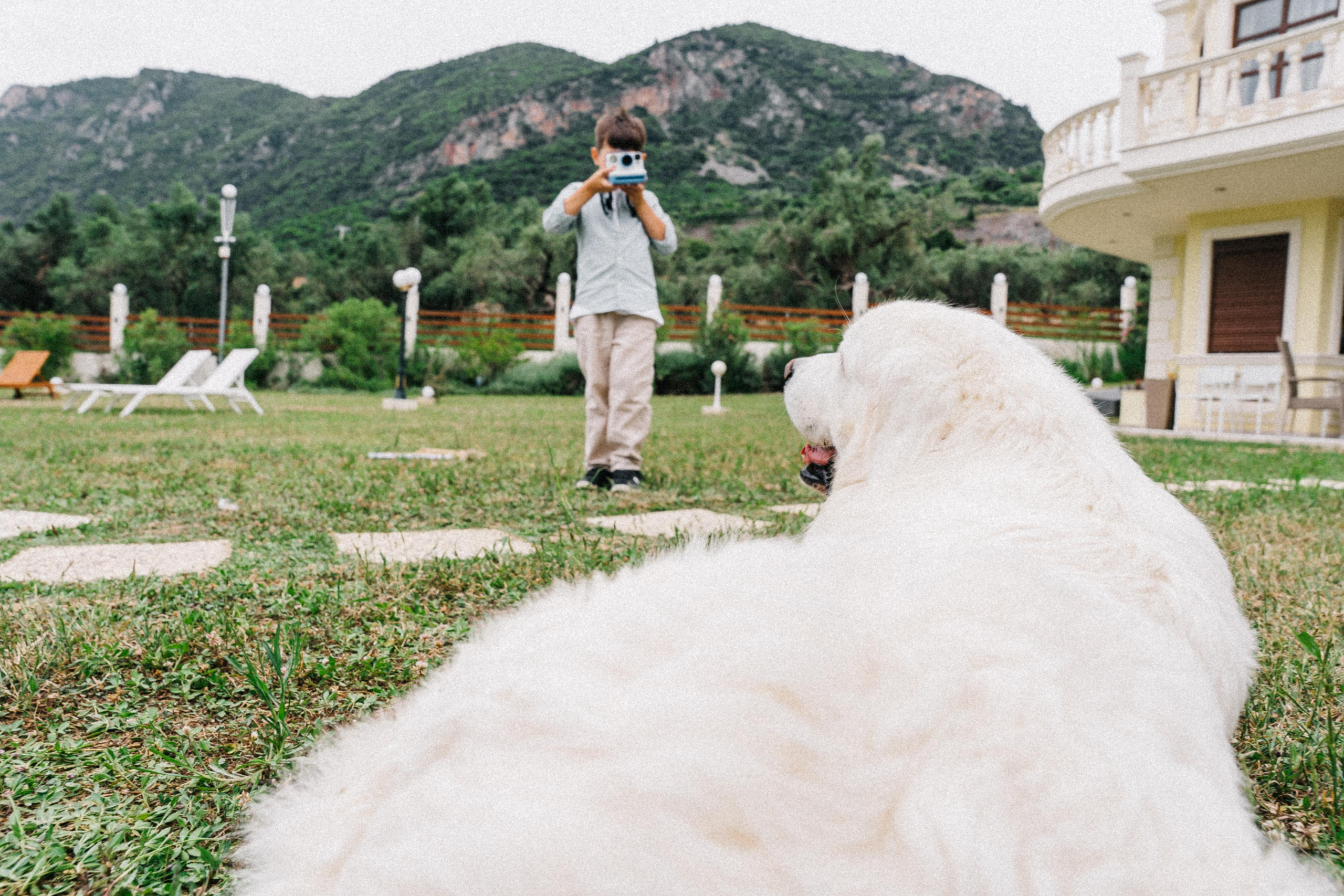 Wedding - D & A. GK Photography – Capture the Moment