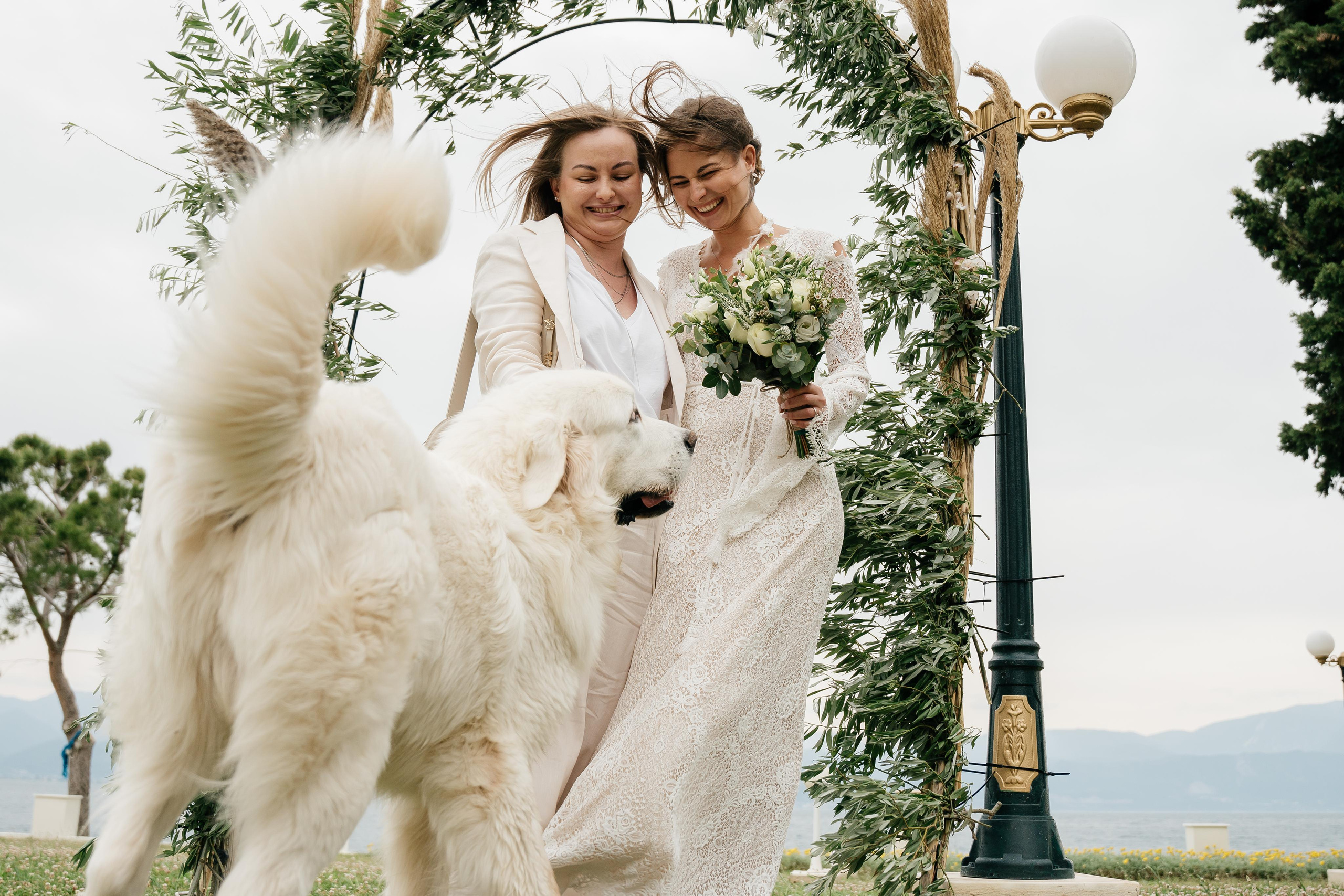 Wedding - D & A. GK Photography – Capture the Moment