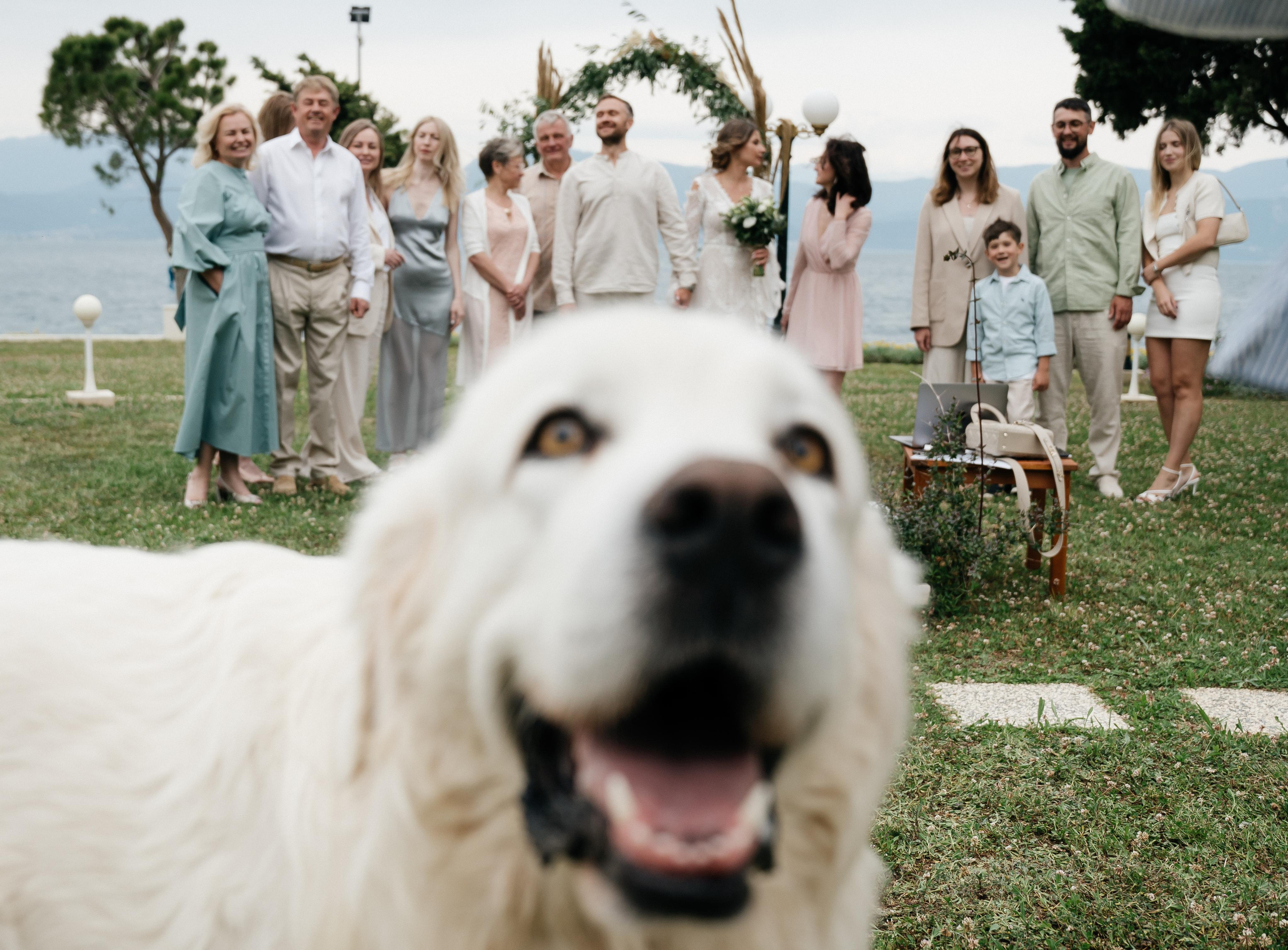 Wedding - D & A. GK Photography – Capture the Moment