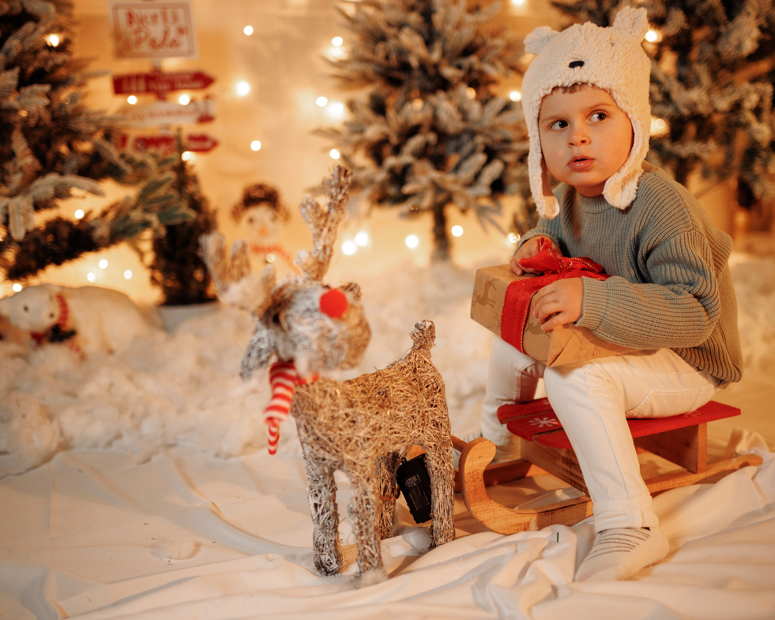 Christmas Time. Https://valphoto.wfolio.pro/