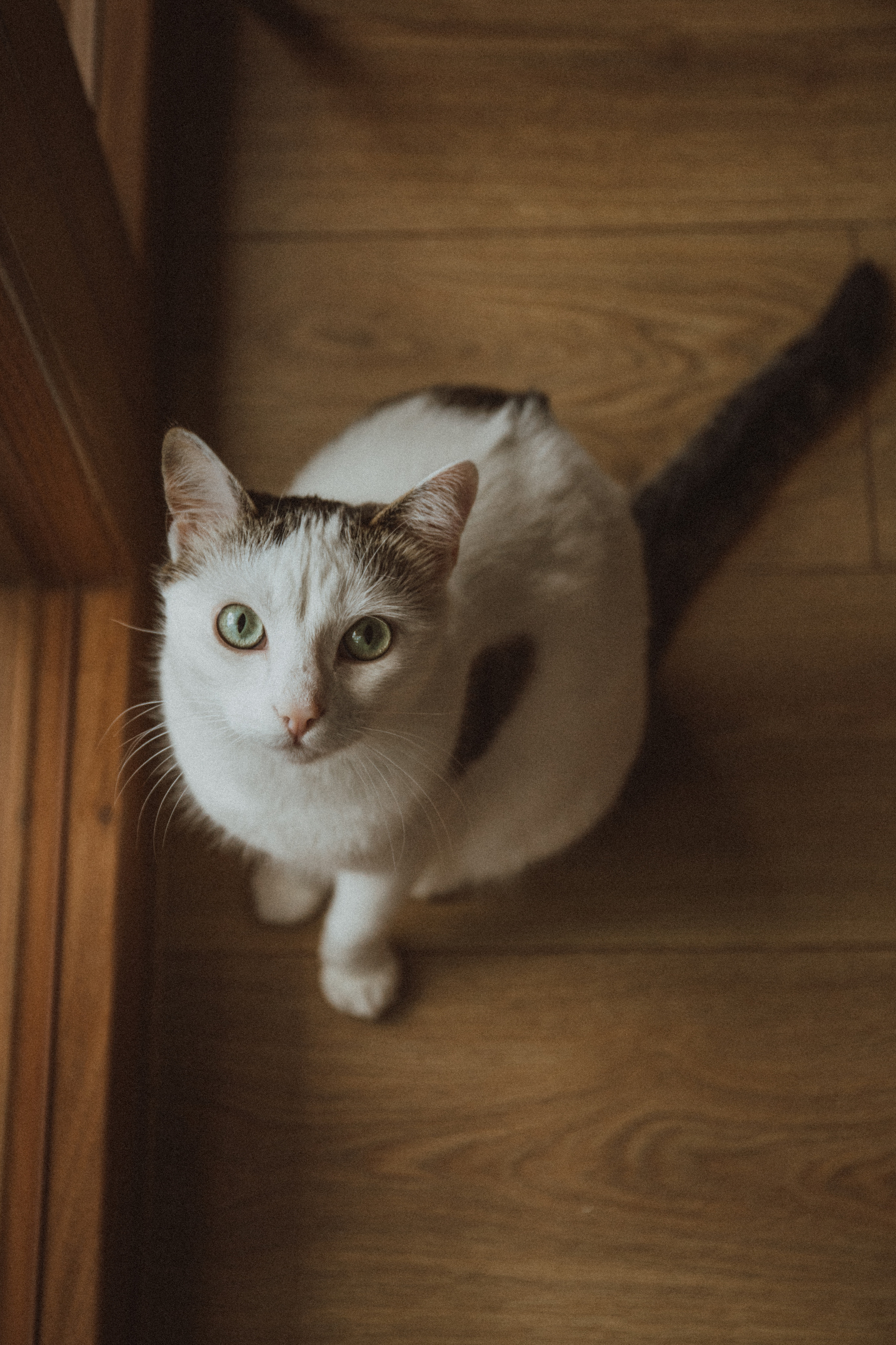 Michał ♡ Dominika ♡ Helena. Fotograf Mykhalchuk Inna Kraków