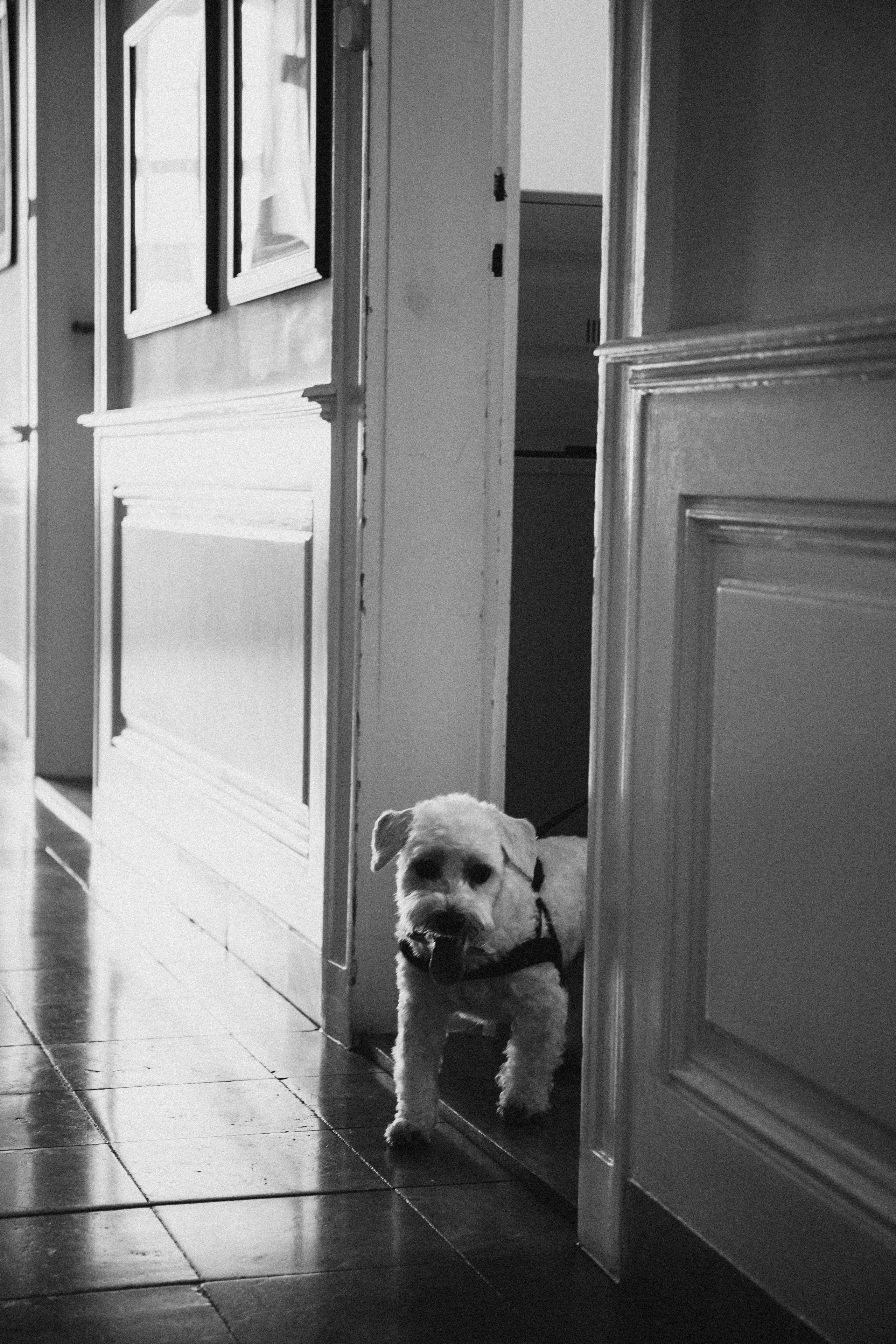 VALERIA DANIEL. Fotograf Mykhalchuk Inna Kraków