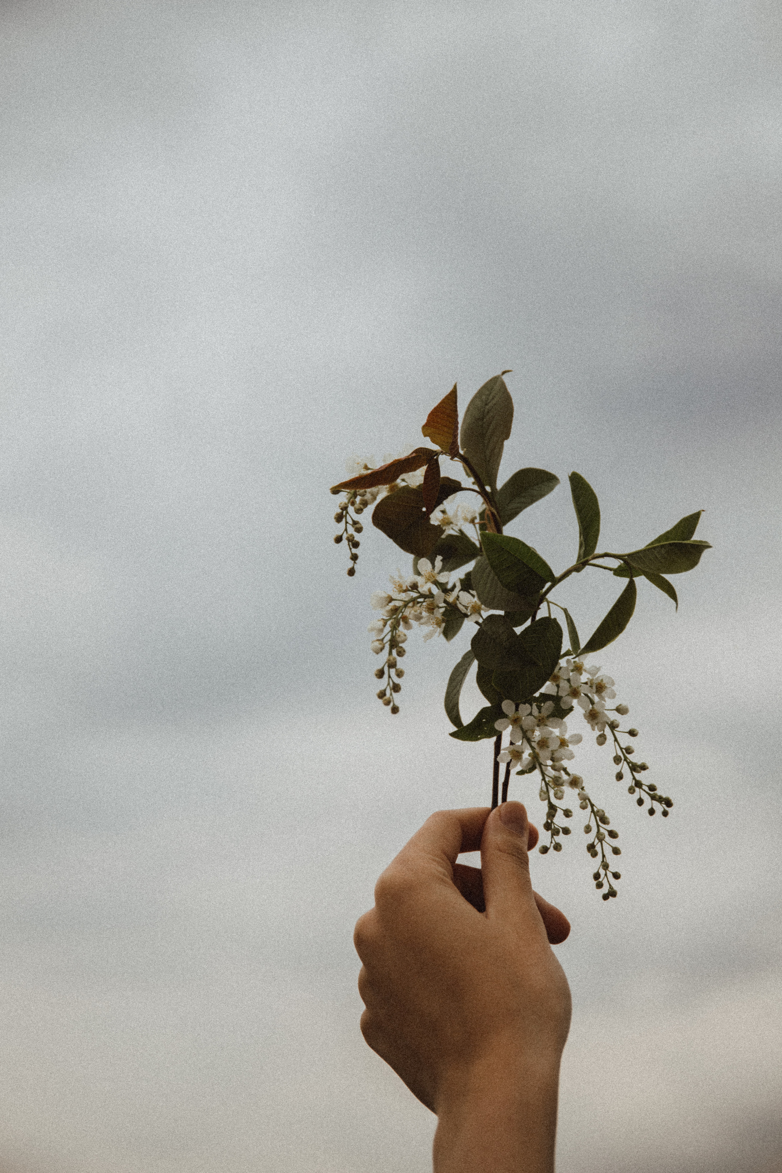 KSENIYA. Fotograf Mykhalchuk Inna Kraków