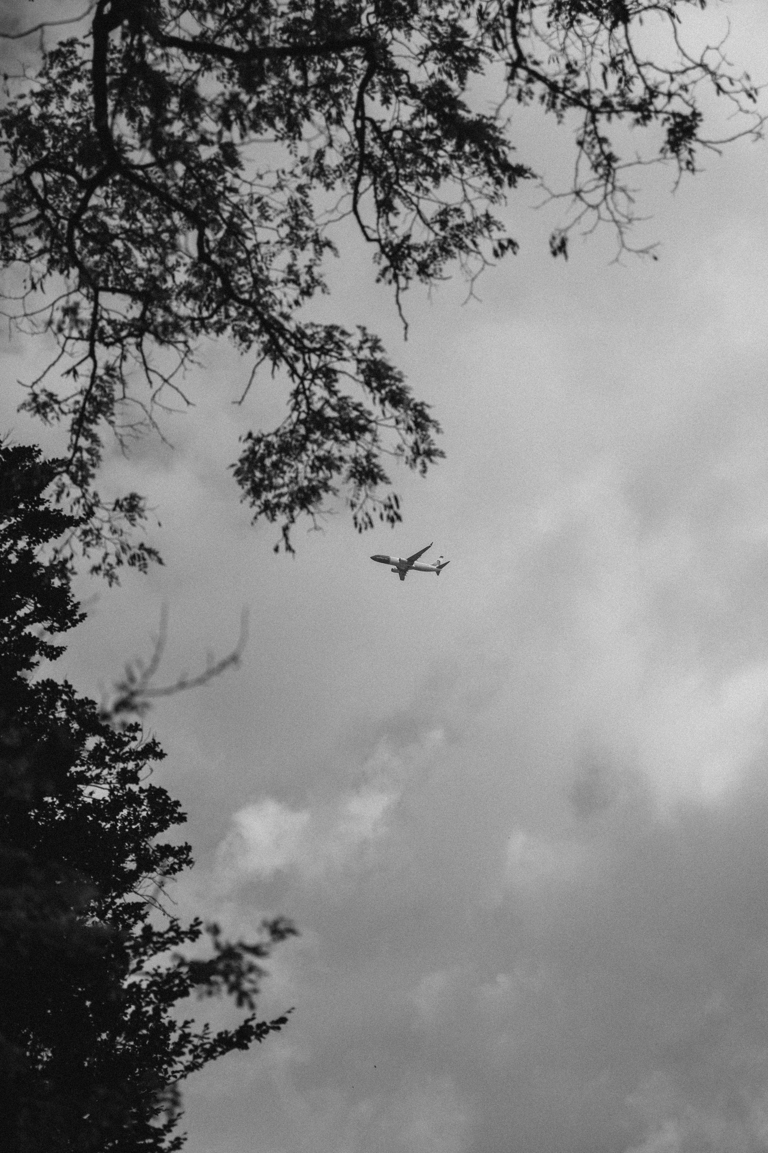 VALERIA DANIEL. Fotograf Mykhalchuk Inna Kraków