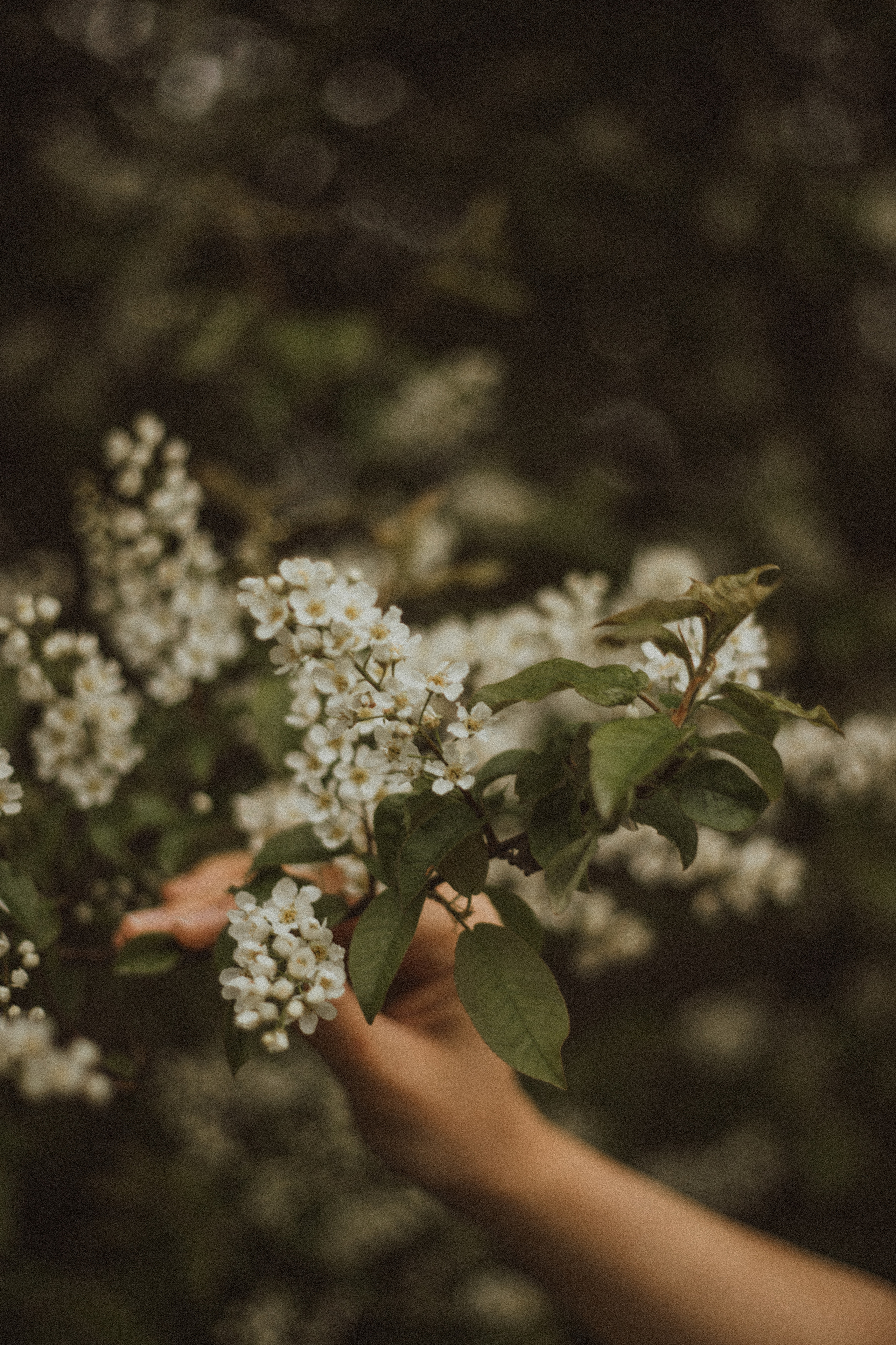 KSENIYA. Fotograf Mykhalchuk Inna Kraków