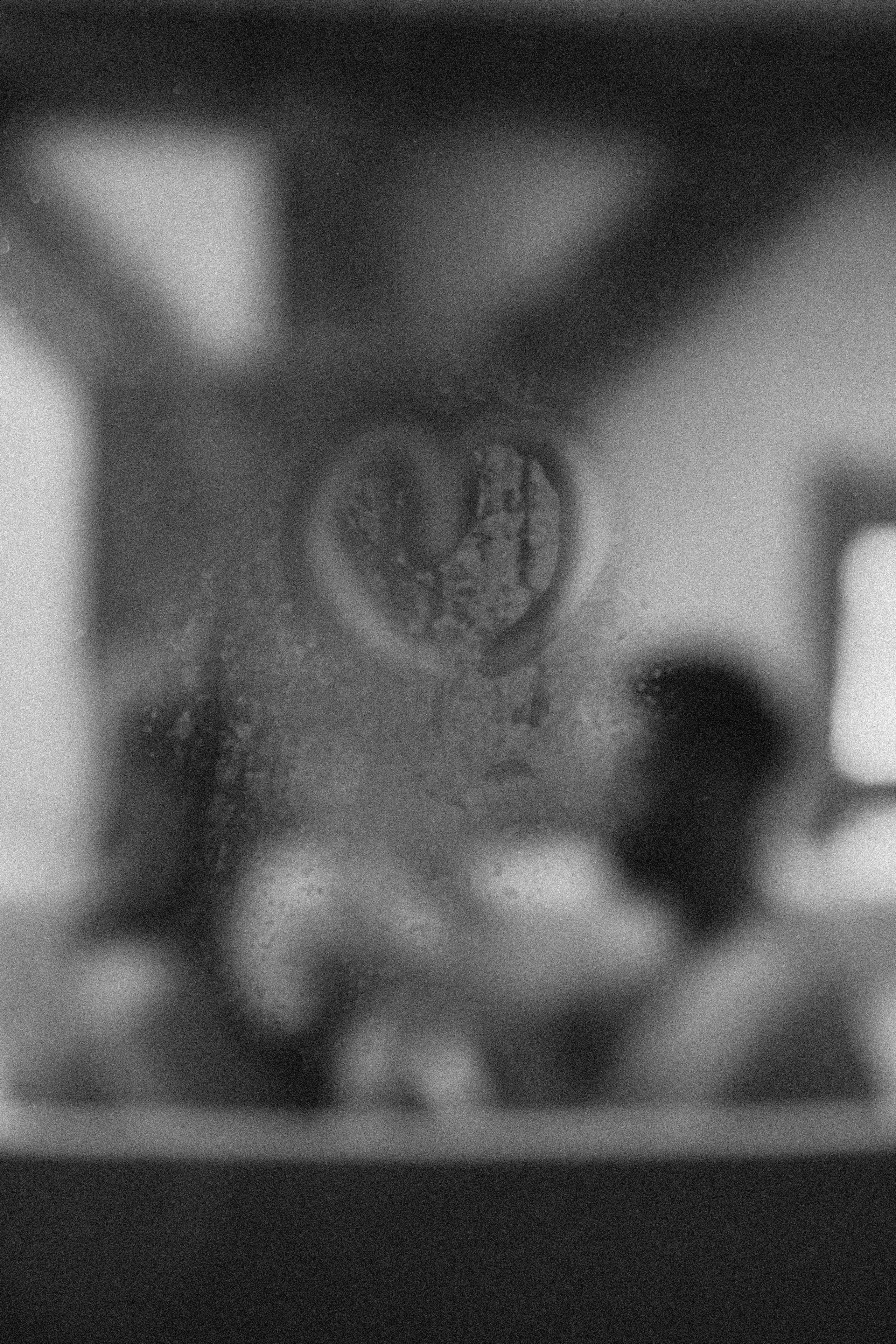 Bartosz ♡ Gabriela. Fotograf Mykhalchuk Inna Kraków