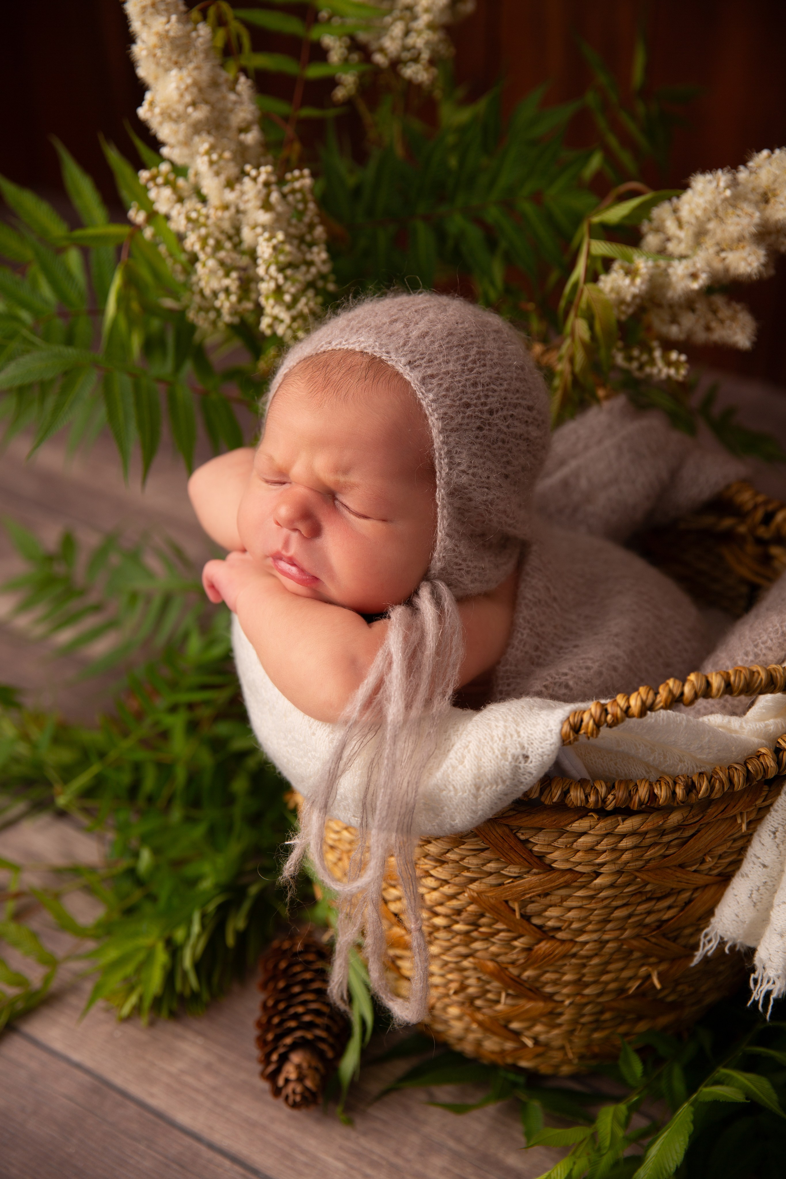 Neugeborene. Neugeborenen, Familien, Geschwister Fotografin aus Delmenhorst