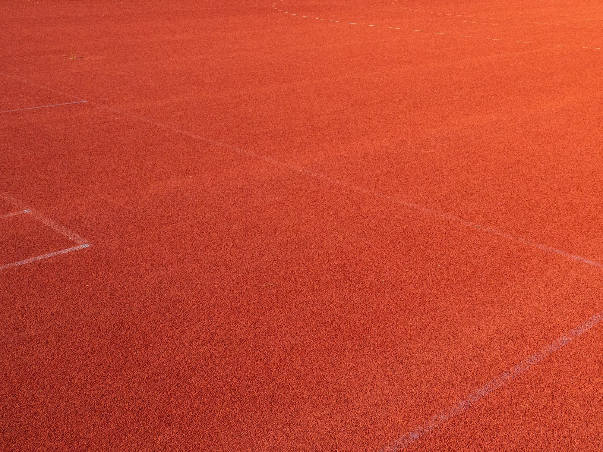 Arrival. Anastasia Musinova