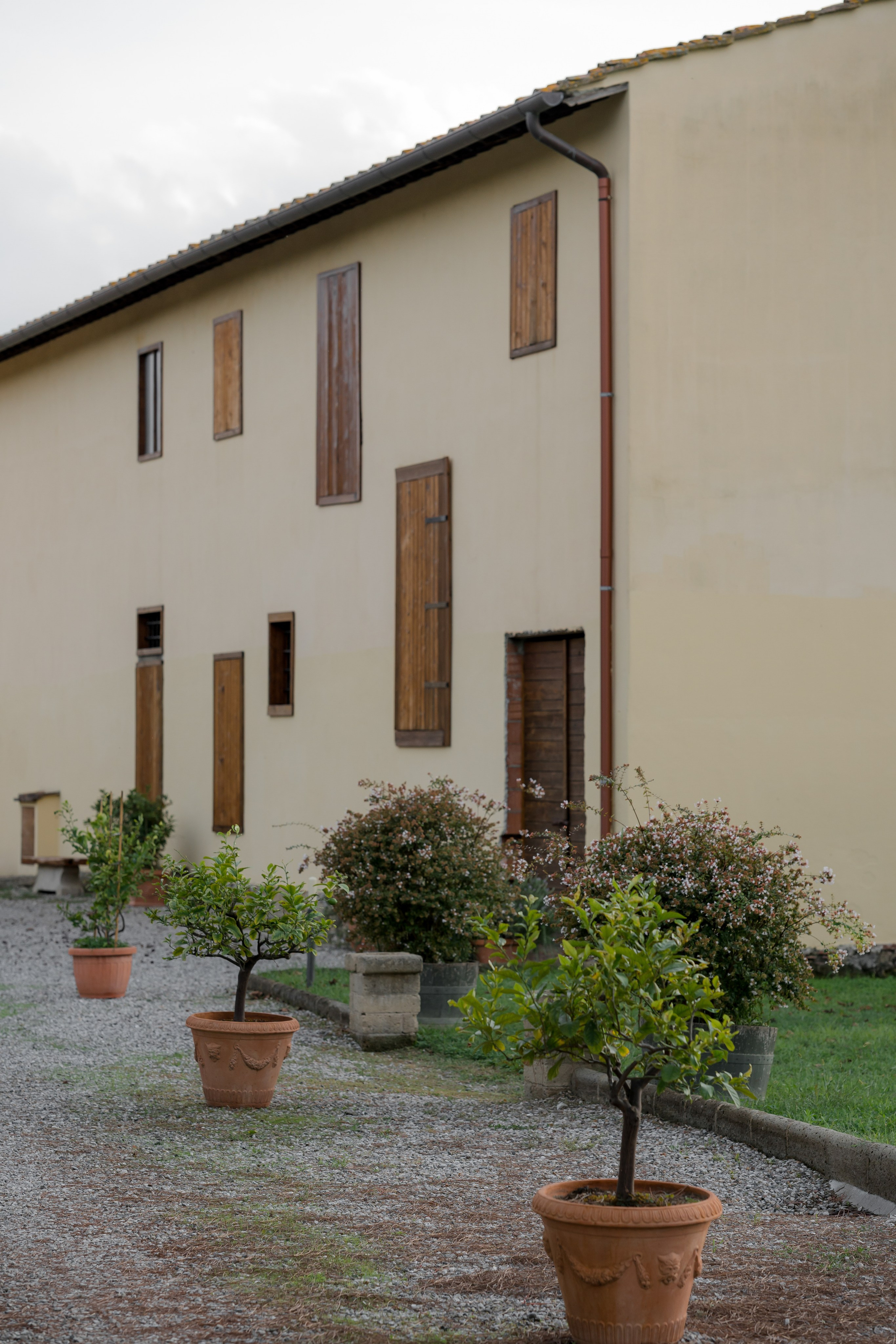 Dom&Ally. Wedding photographer Italy