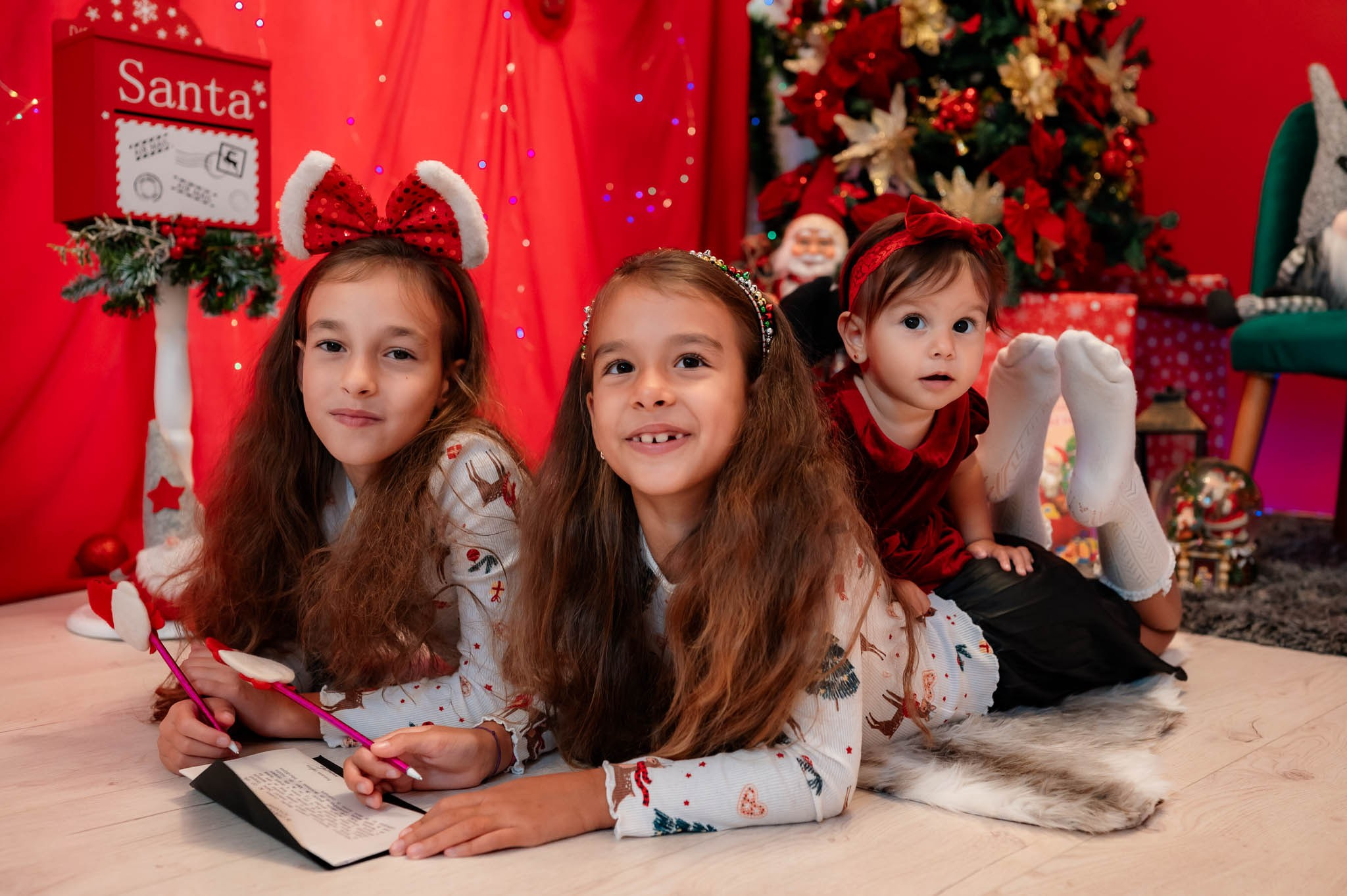 Sedinta Craciun Alina