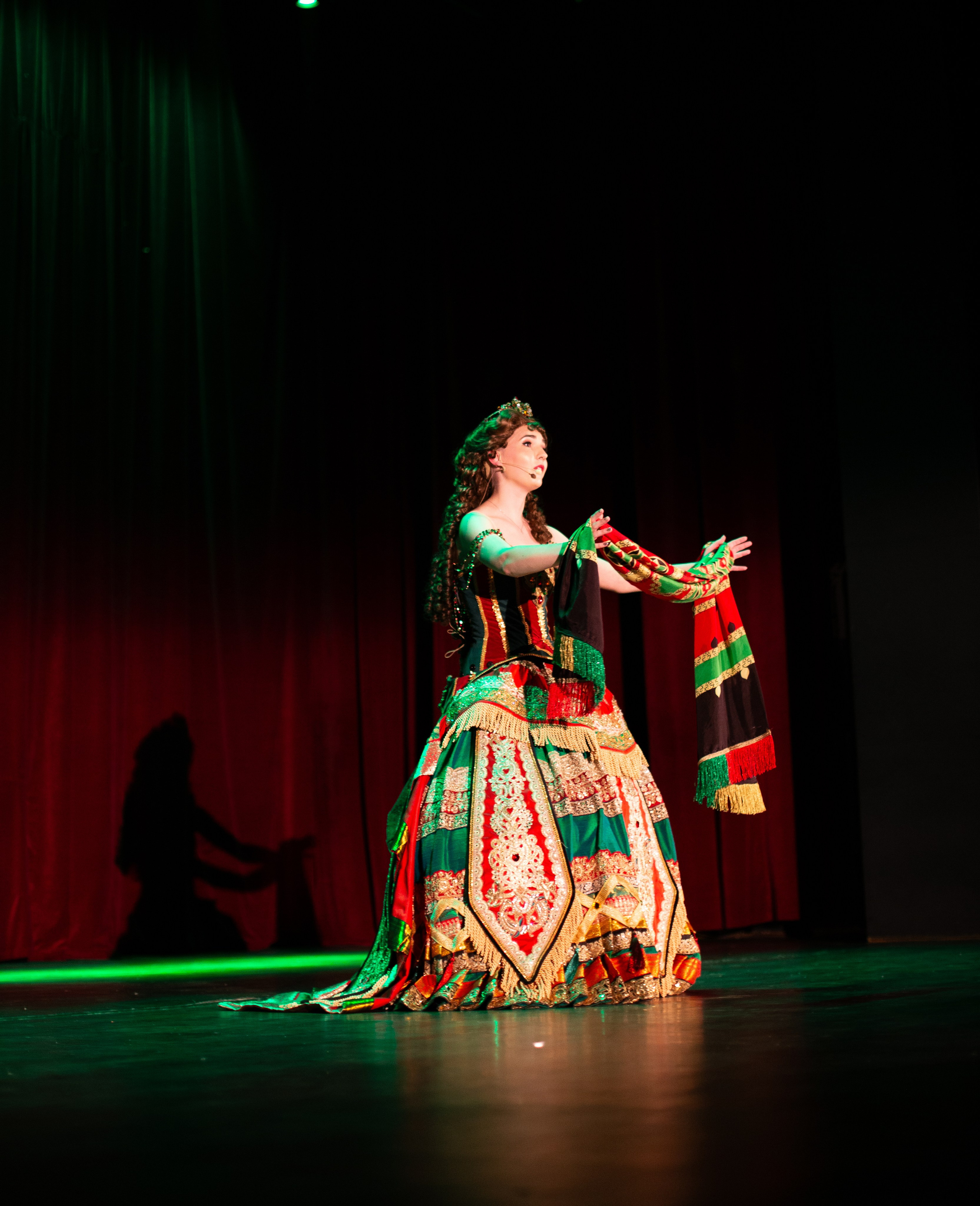 Концерт. Фотограф в Варшаве Алена Валькович-Найдион