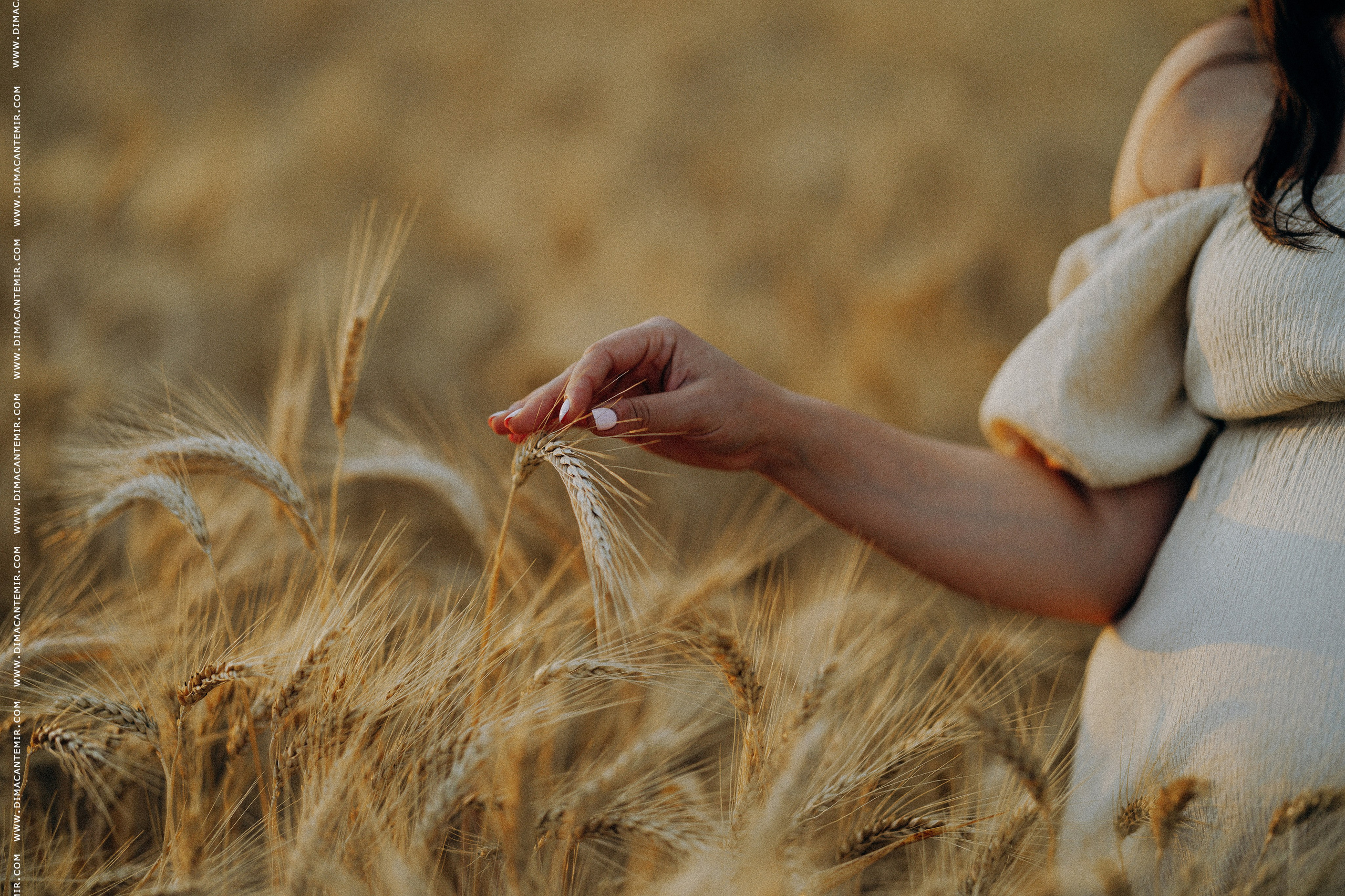 GROZA FAMILY. Fotograf de nuntă în Chisinau, Moldova. Poze și Video Comerciale
