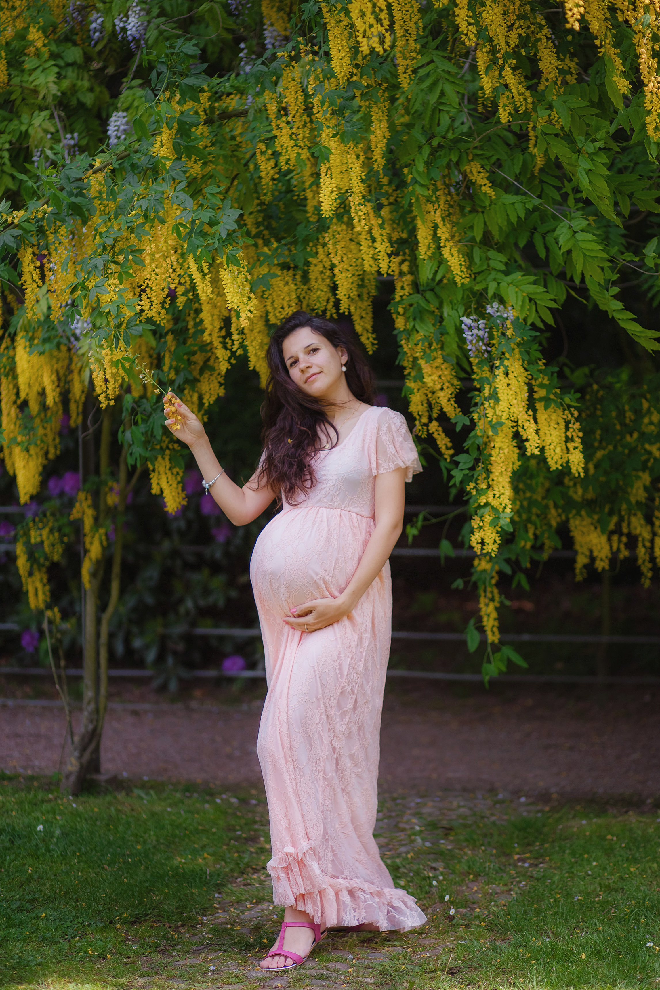 Babybauch Fotoshooting in Hamburg günstig, Fotograf in Hamburg. Fotografin Hamburg Reinbek Elizaveta Romanova