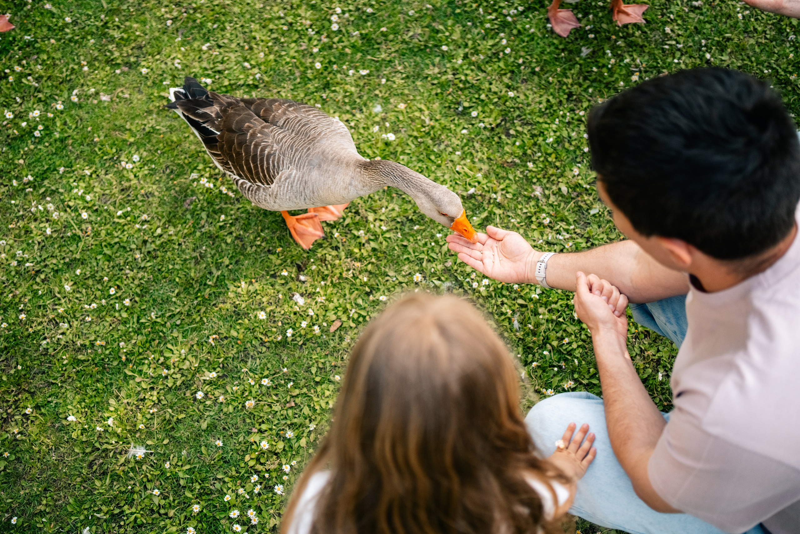 Alina & Family. Maria Sher. Professional photographer from Porto, Portugal
