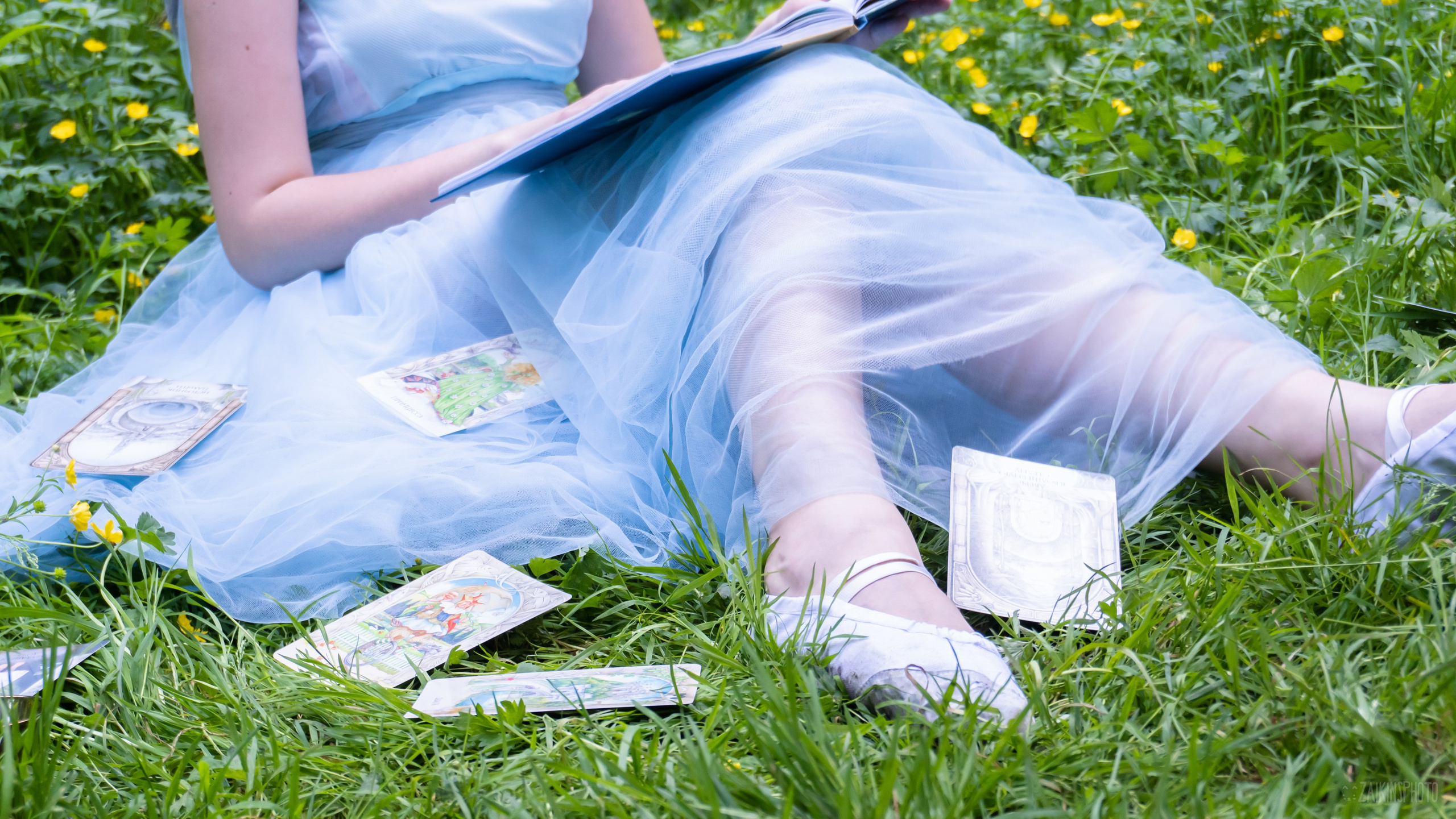 Alice In Wonderland. Main