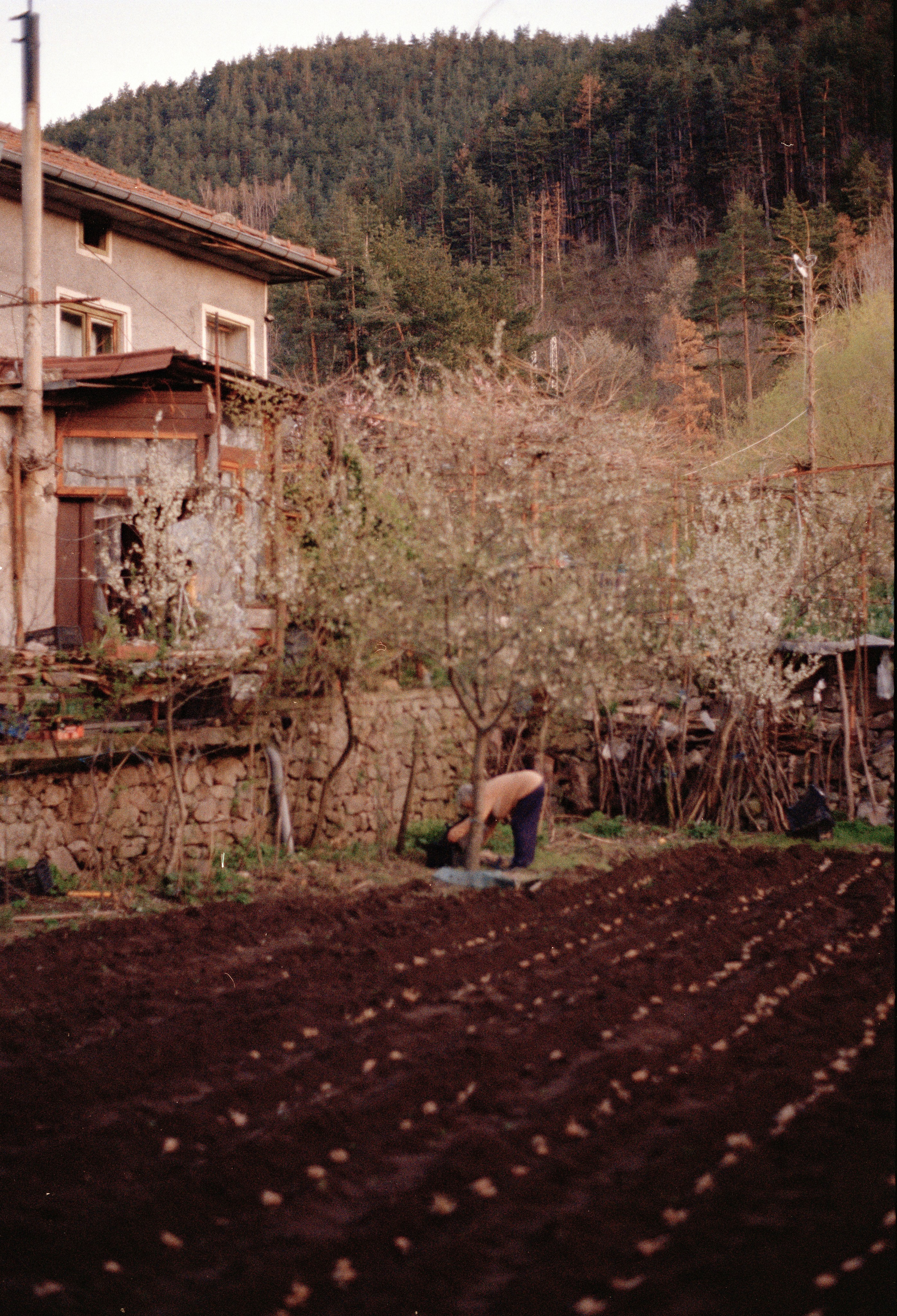 Still Home. Professional Photographer, Videographer in London Dilyana Tankova