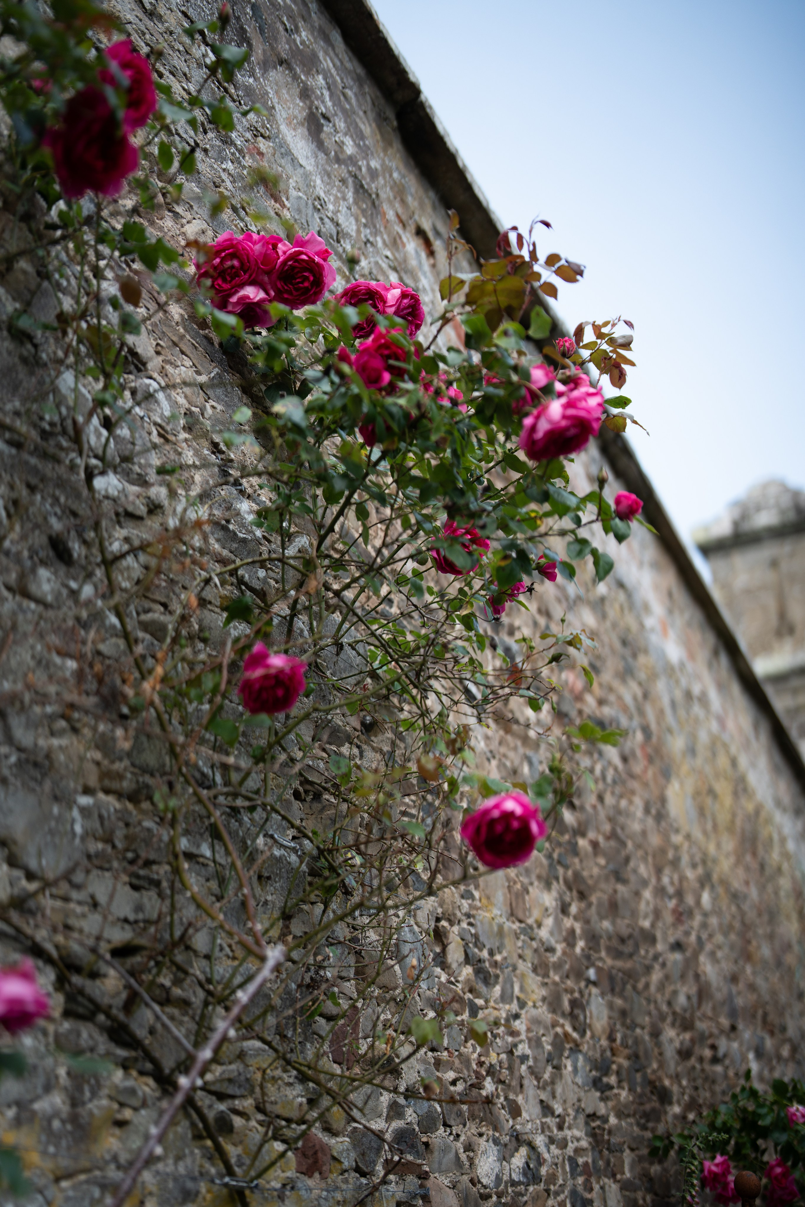 Туры. Photographer & Tour Guide Based in Scotland