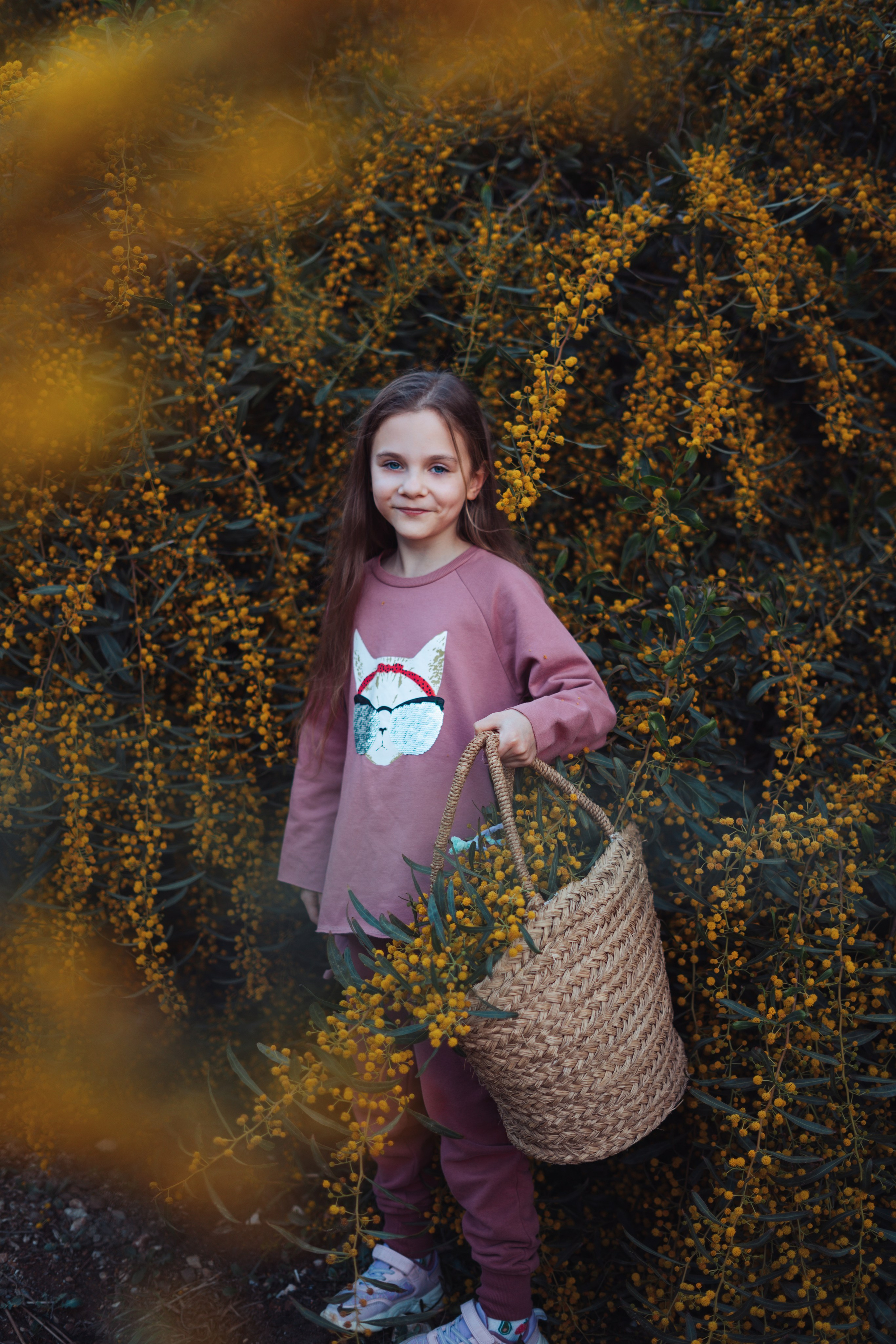 Мимоза. Анастасия Благова — Твой фотограф в Малаге 🇪🇸