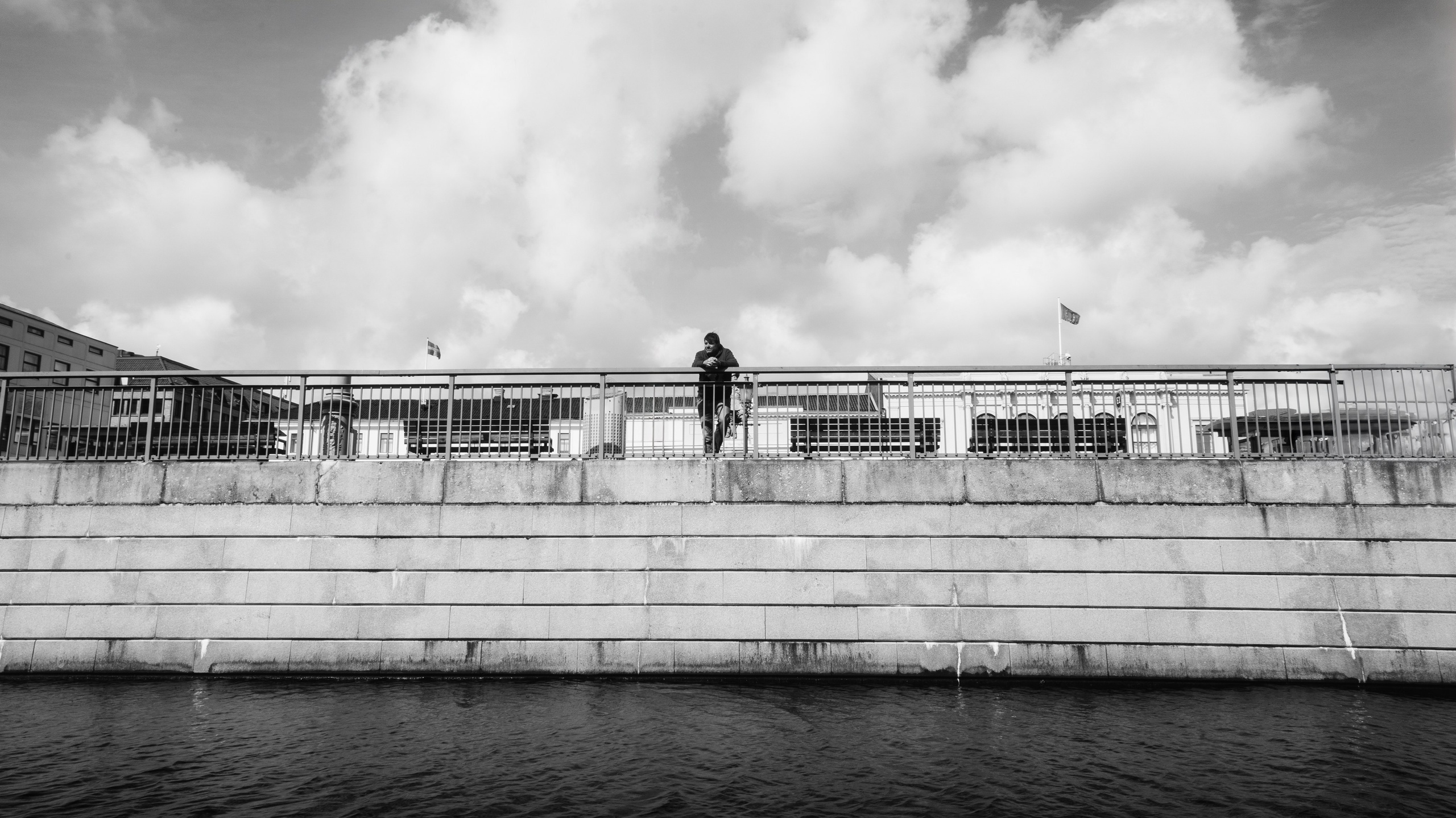 Roaming. Mike Avelli