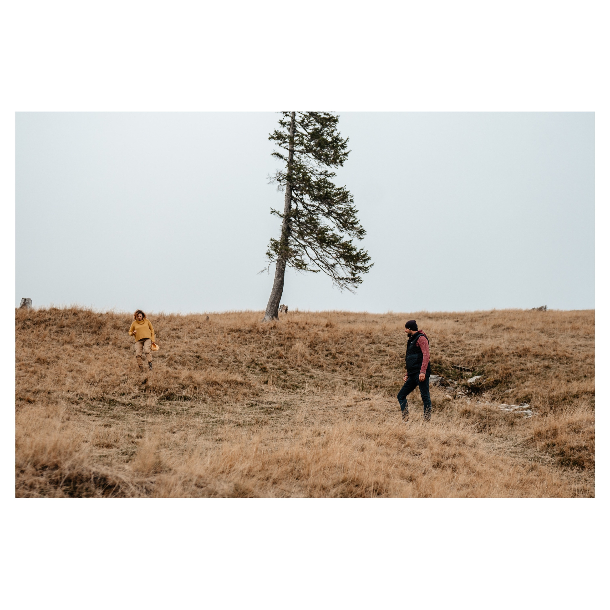 Workshop. Ionut Birceanu