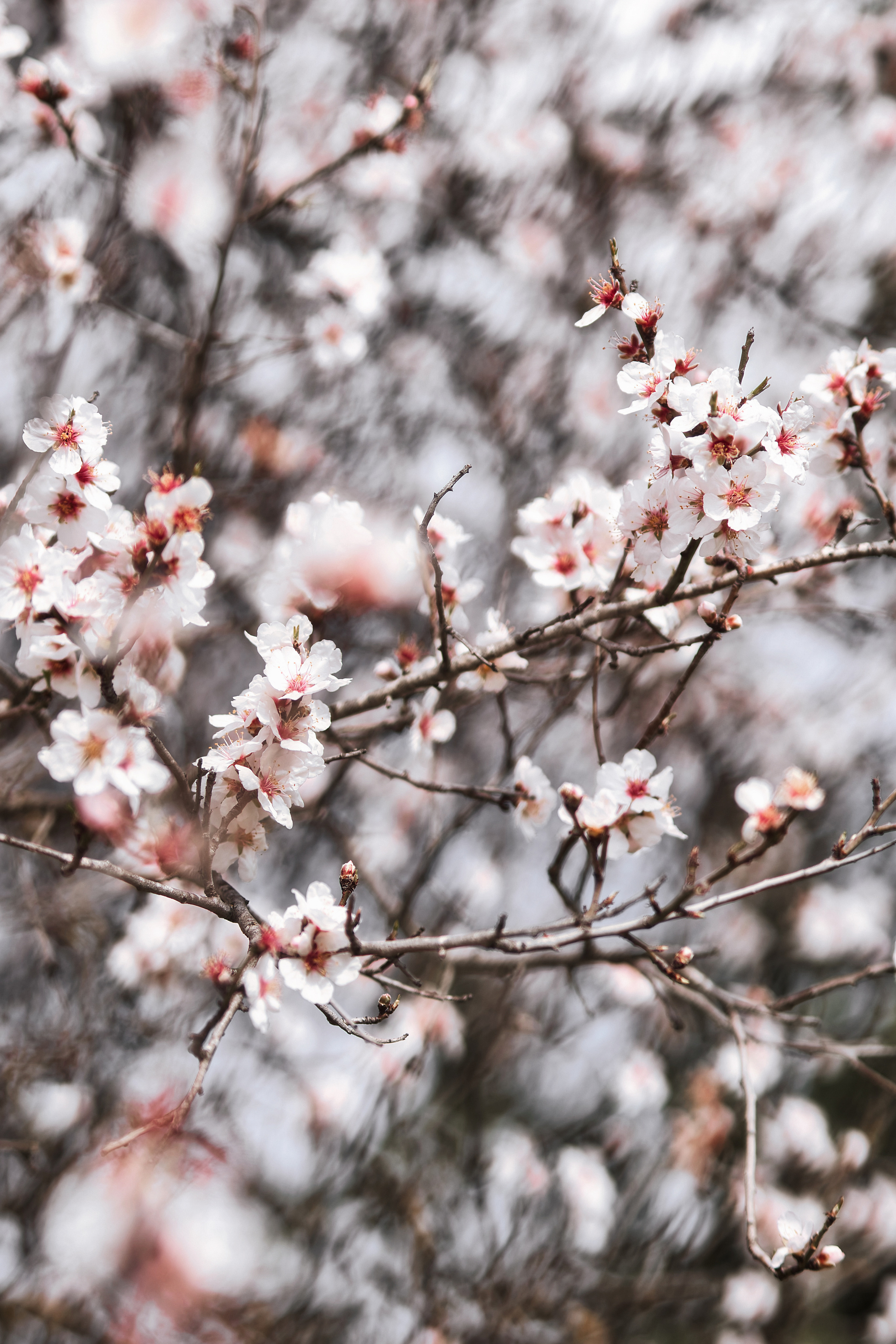 Индивидуальная фотосессия в Ларнаке. Март, 2023. Cyprus Vision. Фото и видео на Кипре — Айя-Напа, Протарас