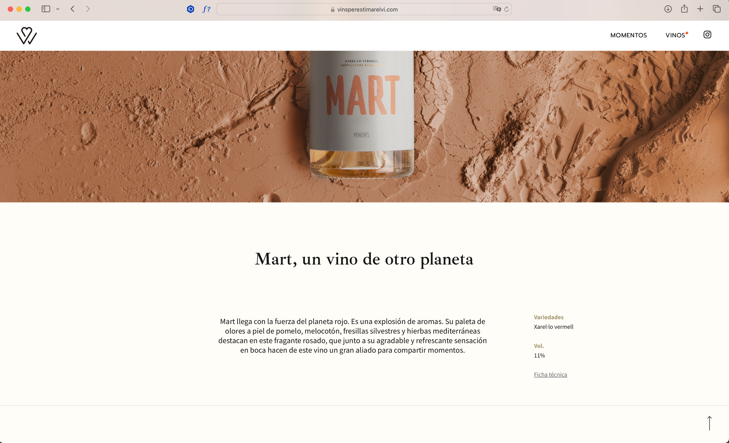 Brand Photography & Visual Content Creation — Marina Kálcheva, Barcelona. Marina Kálcheva — Photographer, Videographer & Visual Artist in Barcelona