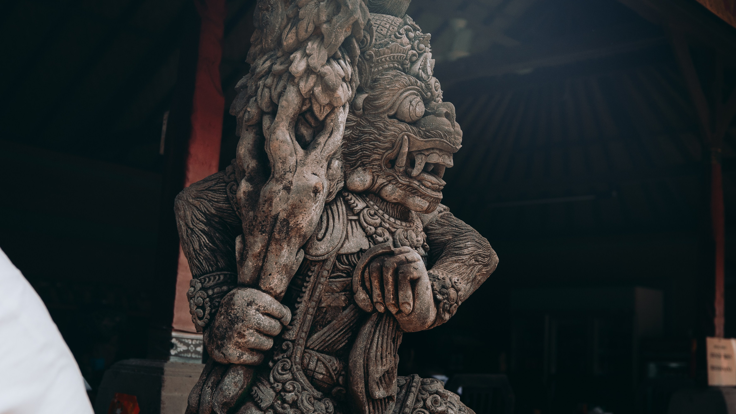 Roaming. Mike Avelli