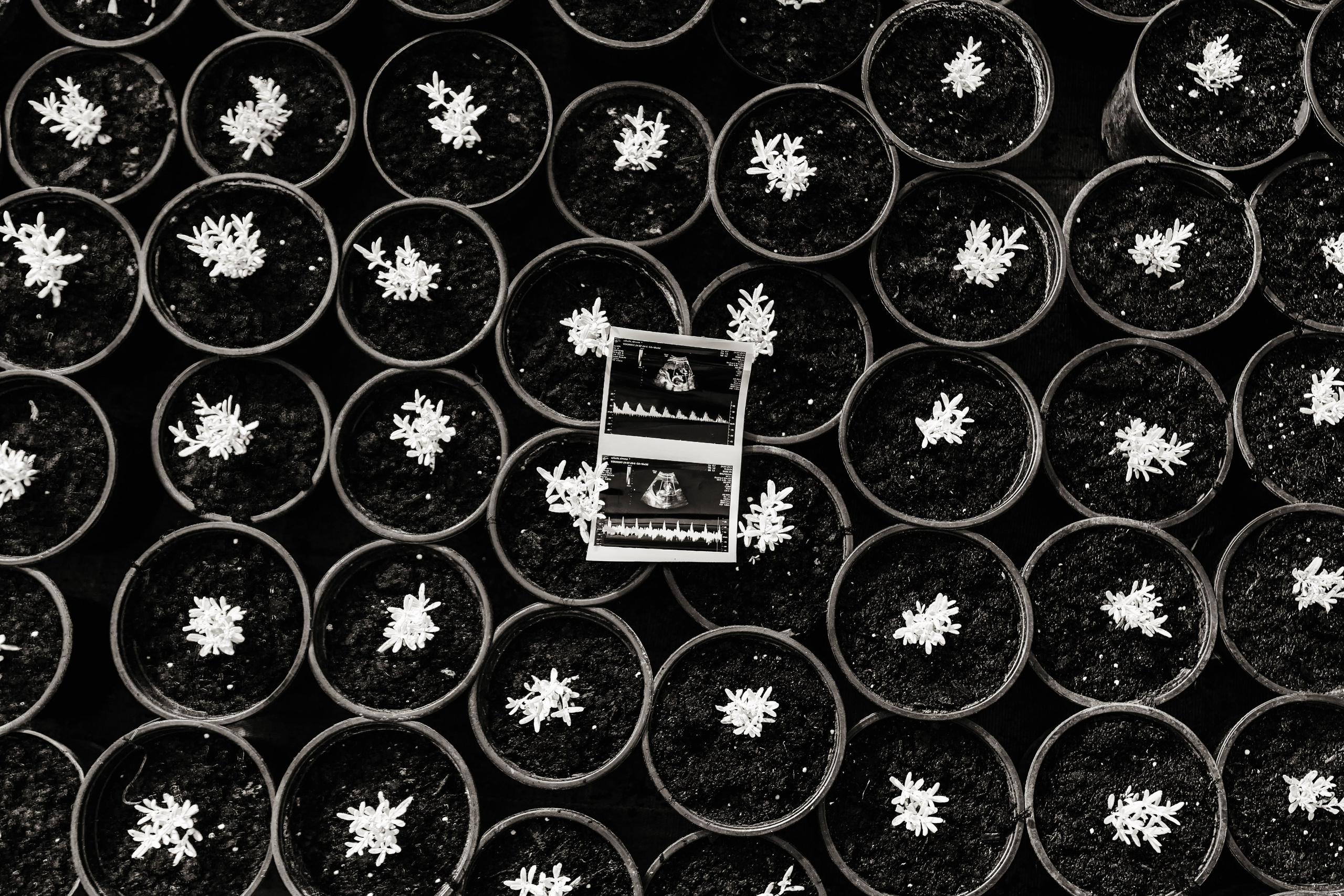 Tibi si Simona. Foto-Video Nunta Iasi, Suceava, Bucuresti / Disponibilitate 2025 — 2026 — 2027