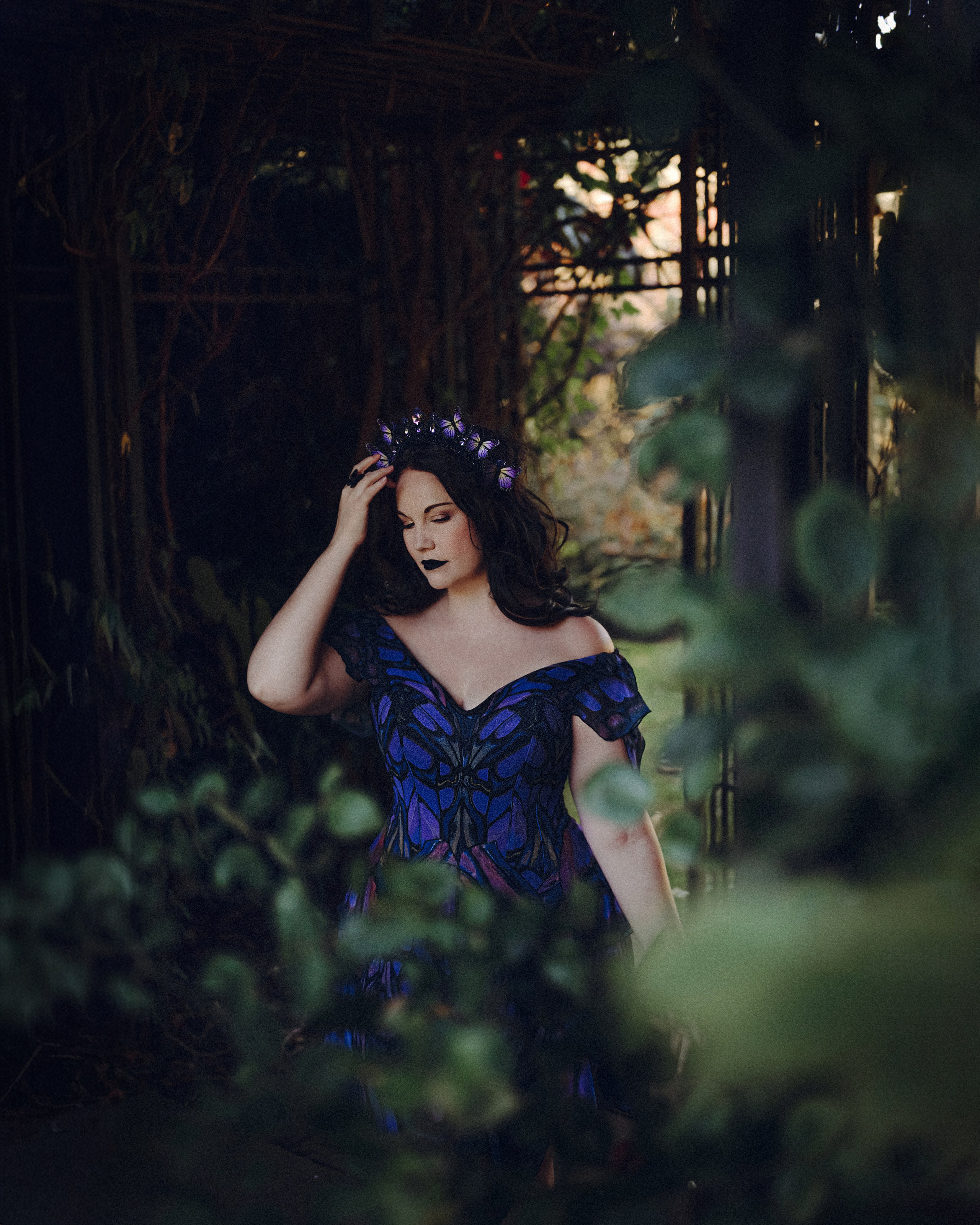 Butterfly purple fairy in a blooming garden. Moth & Moss Photography