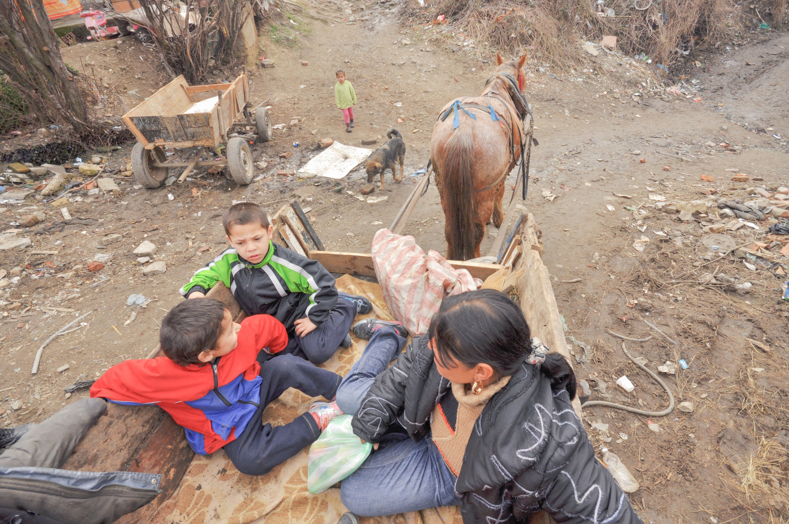 Hope for Cherry Blossom. Mayya Kelova artist