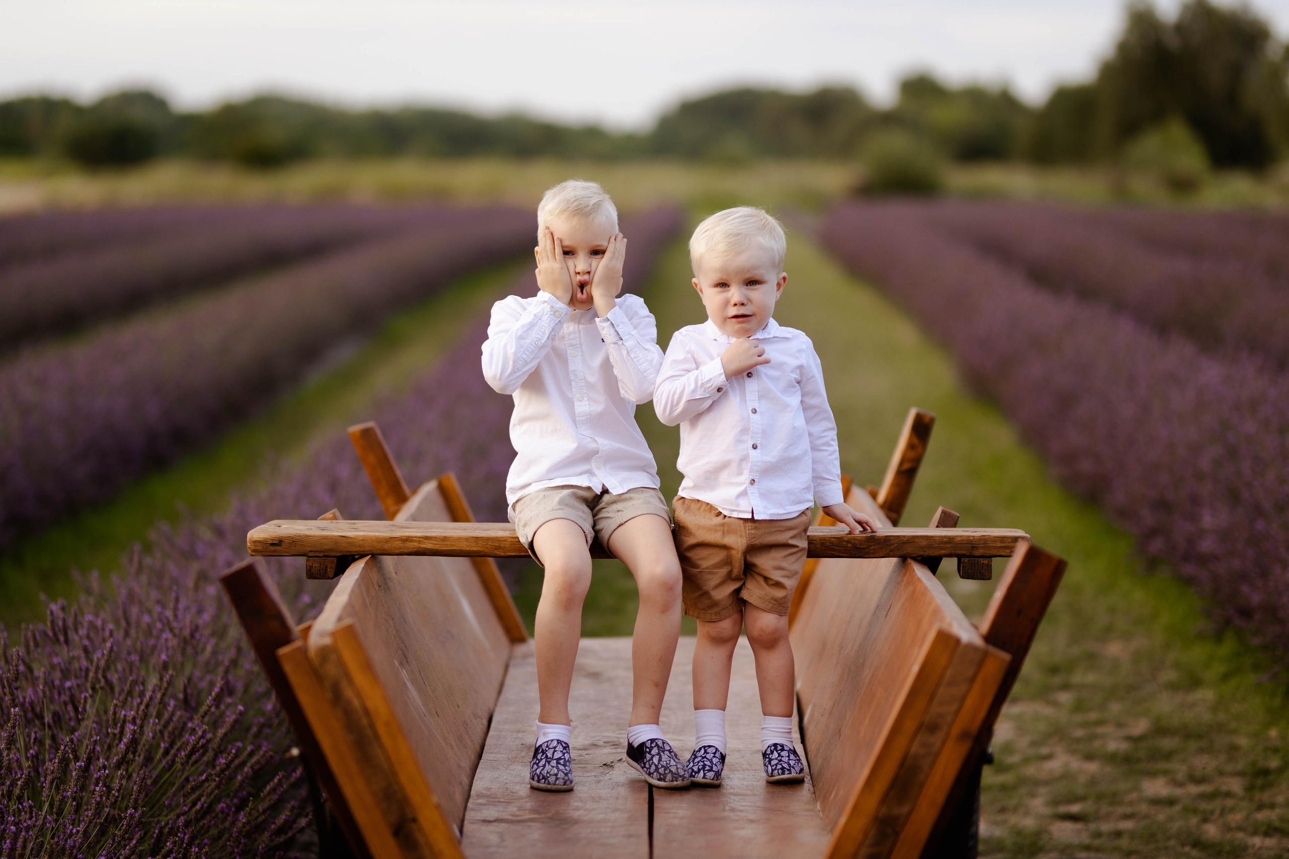 Lawendowa sesja rodzinna. Fotograf Siedlce