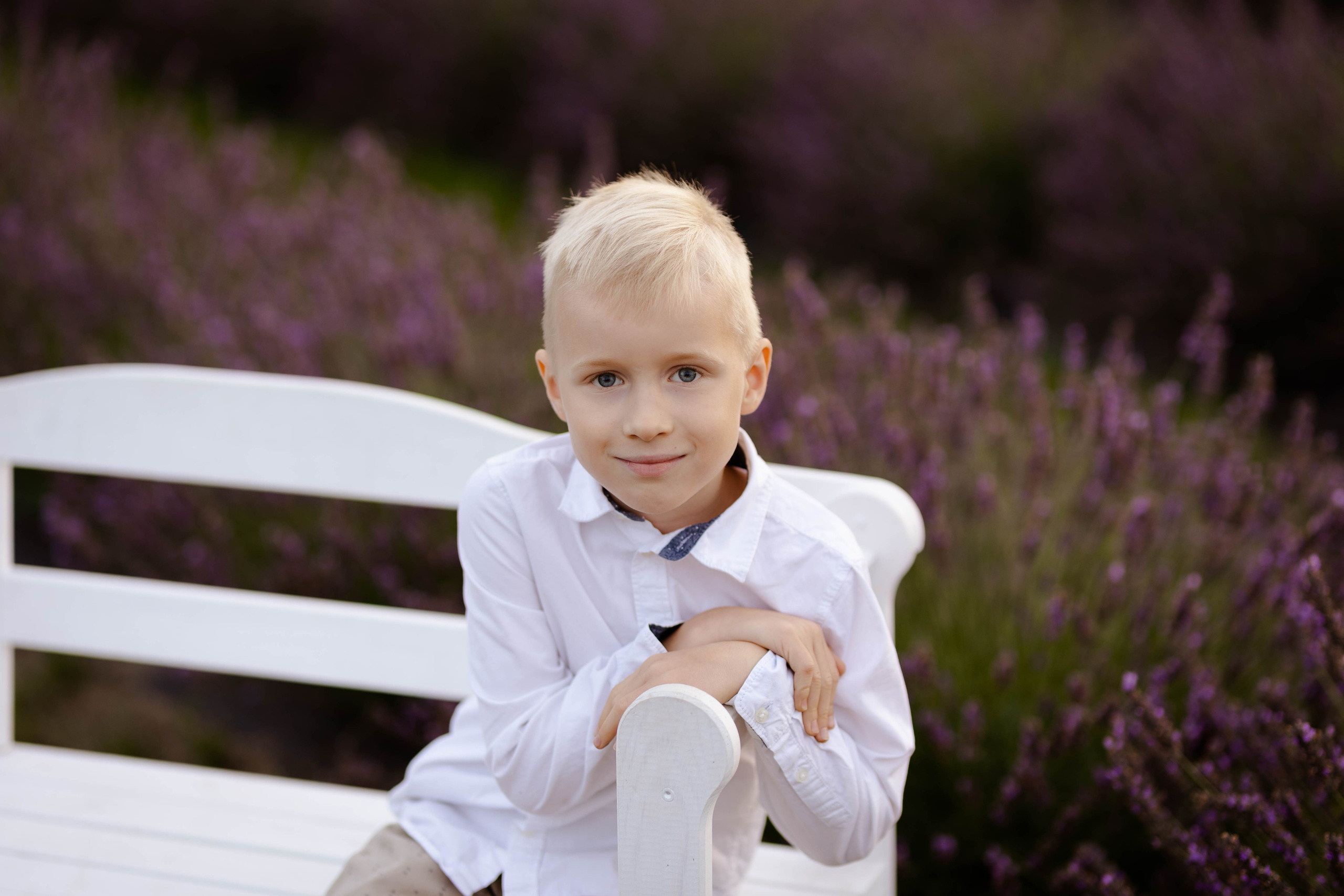 Lawendowa sesja rodzinna. Fotograf Siedlce